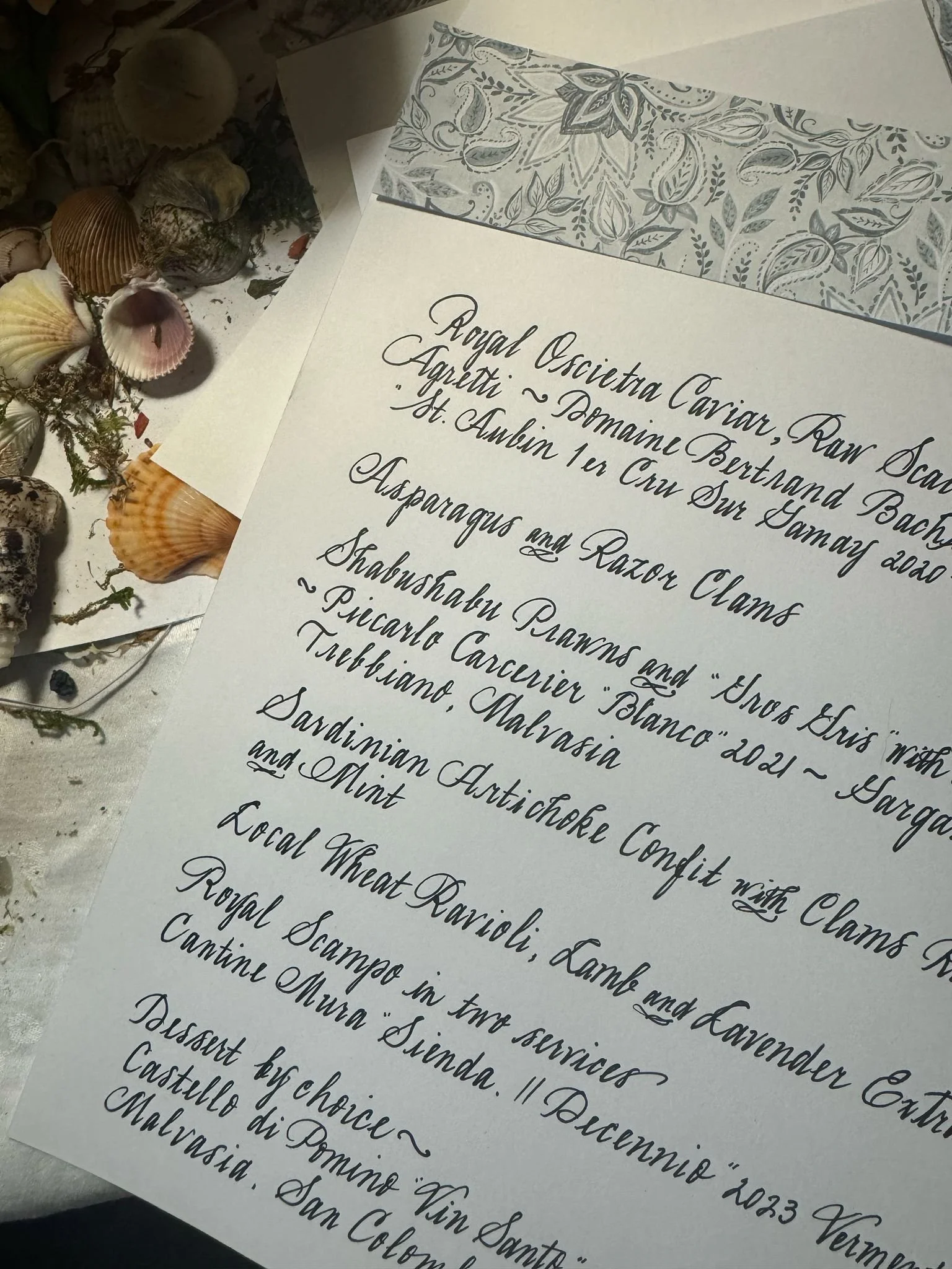 A close-up of a handwritten document with elegant cursive writing. Part of the text is visible, listing scientific and geographical details. The paper is adorned with a decorative grey and white floral border. To the left, there are various seashells and natural decorative items.