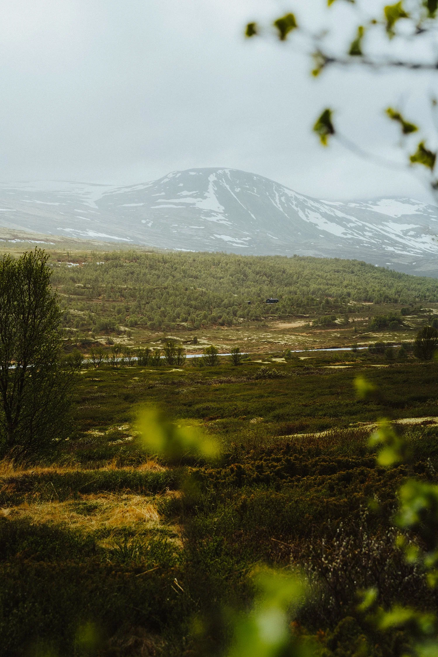 Functionx  Mountain Abstracts Noorwegen-4.jpg