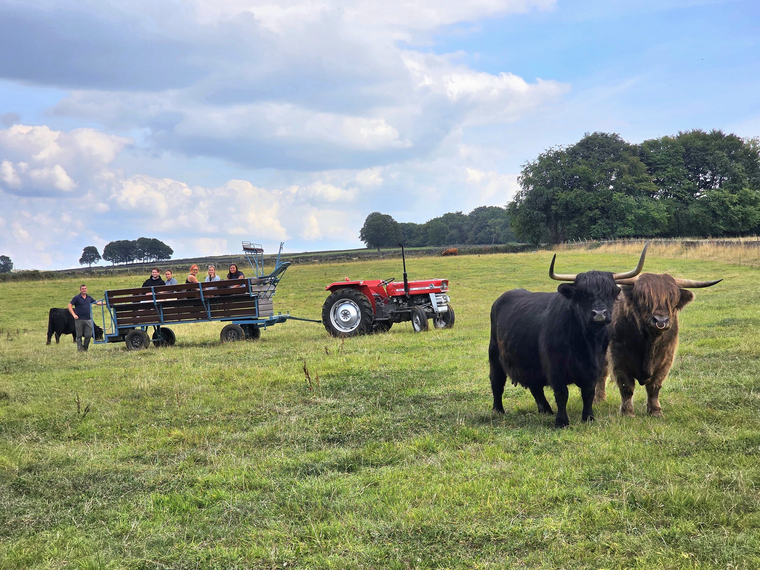 Welcome to our new website