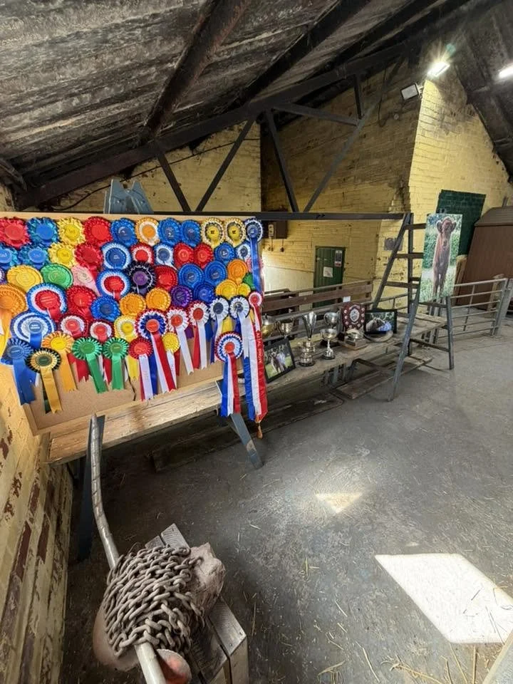 Show Season 26