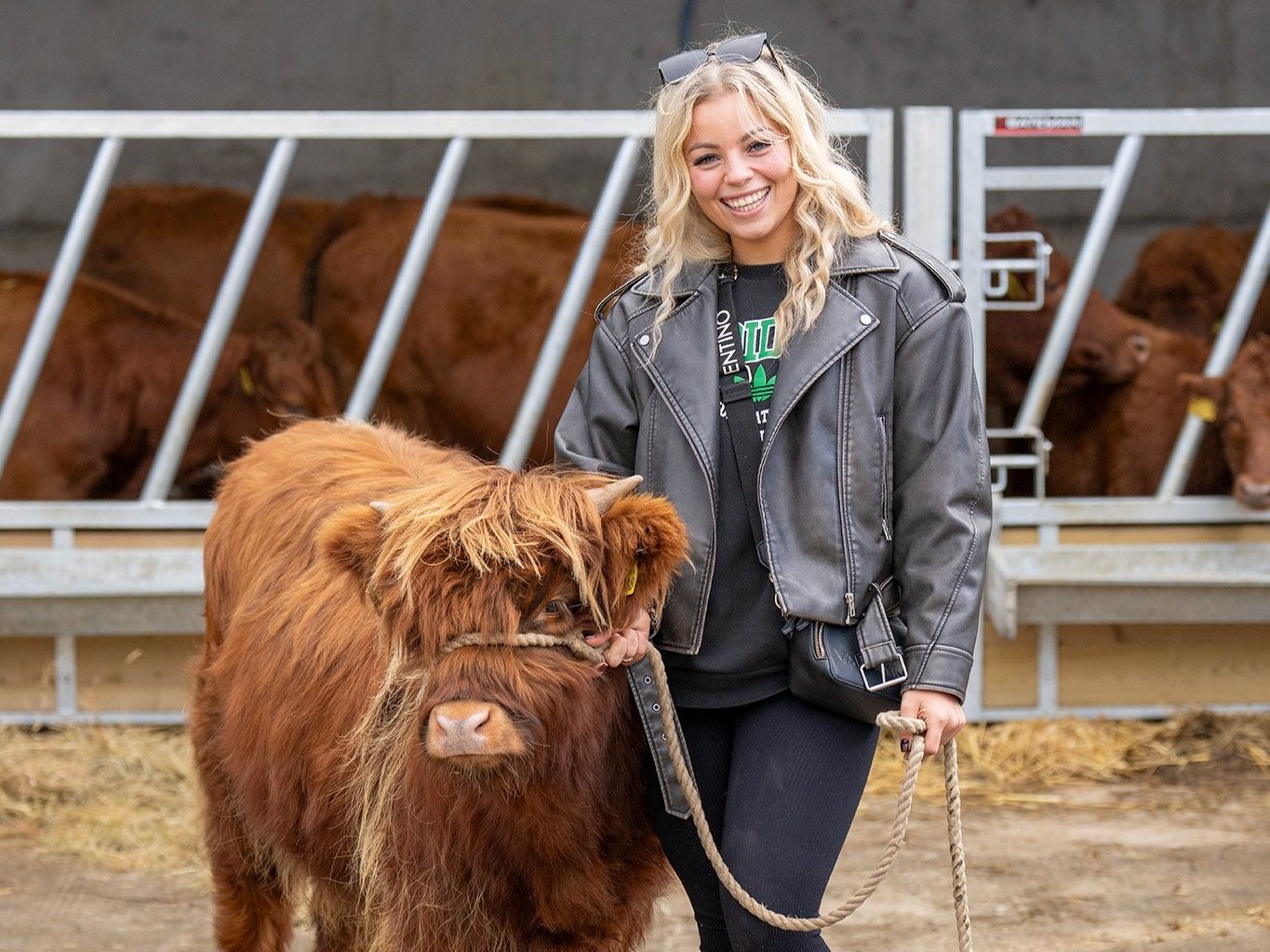 mini-moo-meet-and-greet.jpg