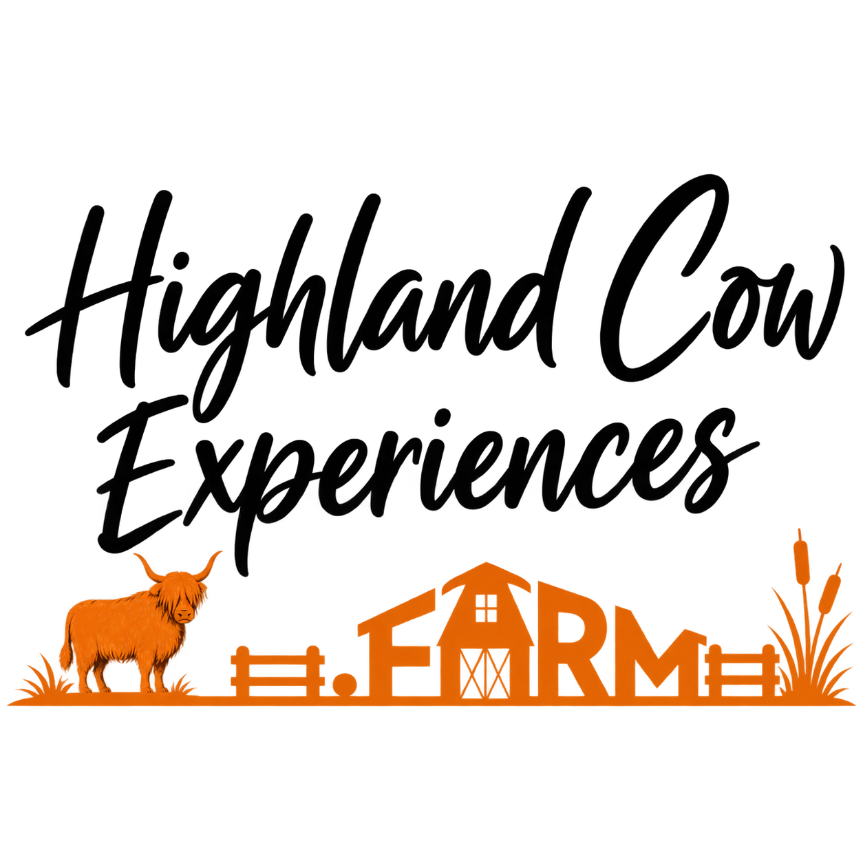 highland cow experiences farm