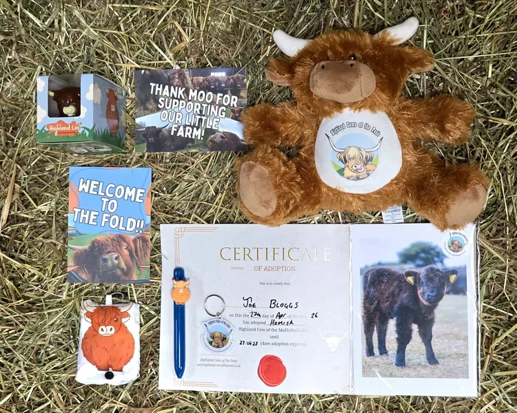 adopt-a-highland-cow.webp