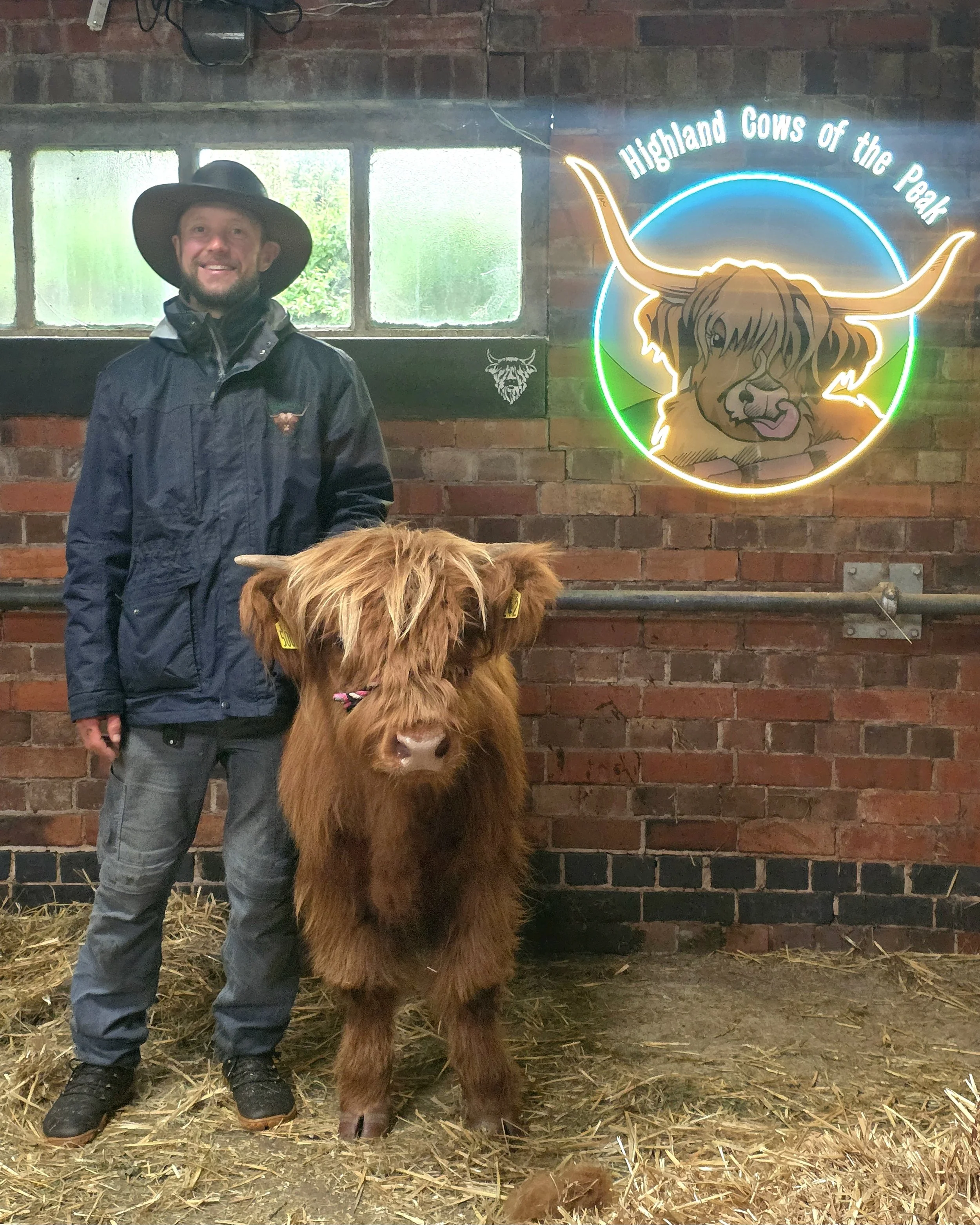 A man standing next to a Highland cow inside a barn with a brick wall. The man is wearing a wide-brimmed hat, a dark jacket, and jeans. The cow has long, shaggy reddish-brown fur and yellow ear tags. A neon sign on the wall reads 'Highland Cows of the Peak' with a stylized Highland cow head illustration in neon lights.