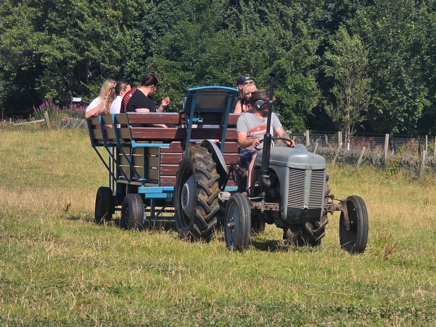 summer-safari-tractor-ride.jpg