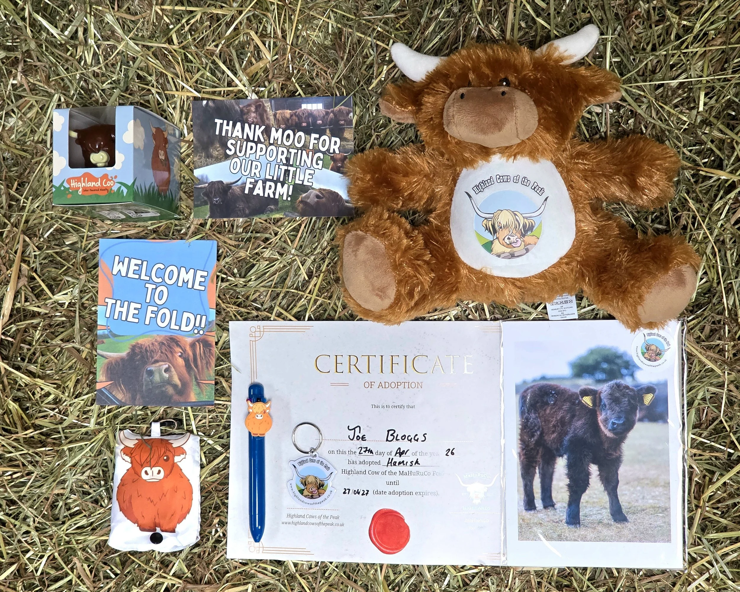 Highland Cow Adoption Box