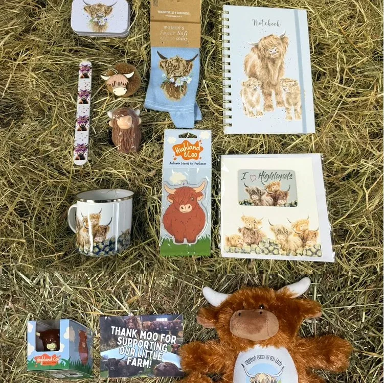 Deluxe Highland Cow Adoption Box