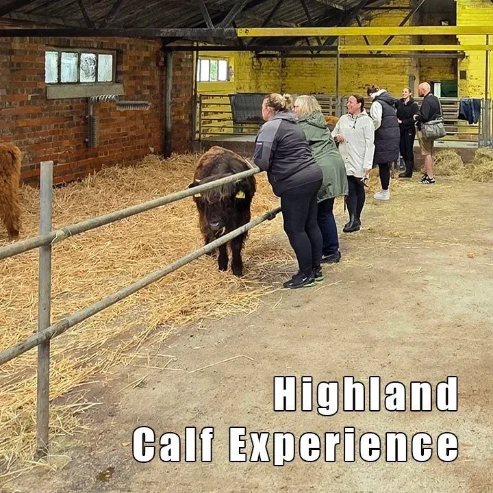 SEND-Friendly Hands-On - Per Person