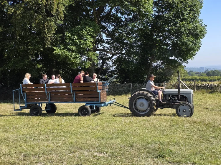 Farm With Rides Highland Cow Cuddling, Petting, Feeding, Hands-On Highland Calf ...