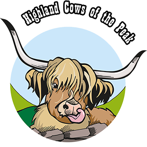 Highland Cows of the Peak Experiences