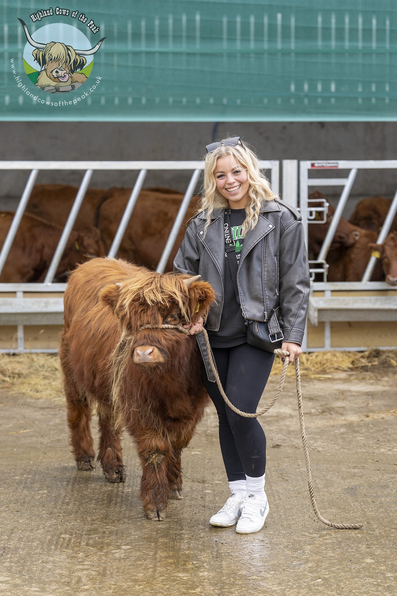 mini-moo-meet-and-greet.jpg