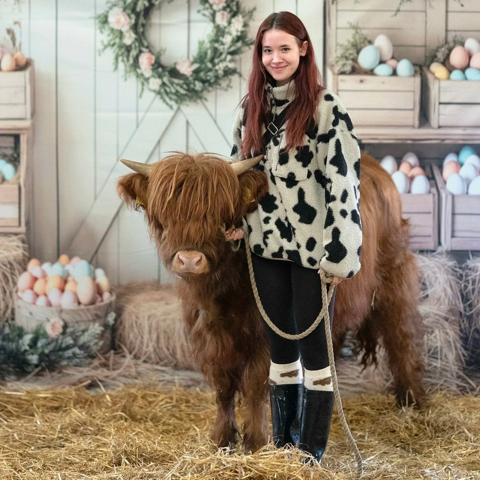 Highland Calf Handling VIP Experience