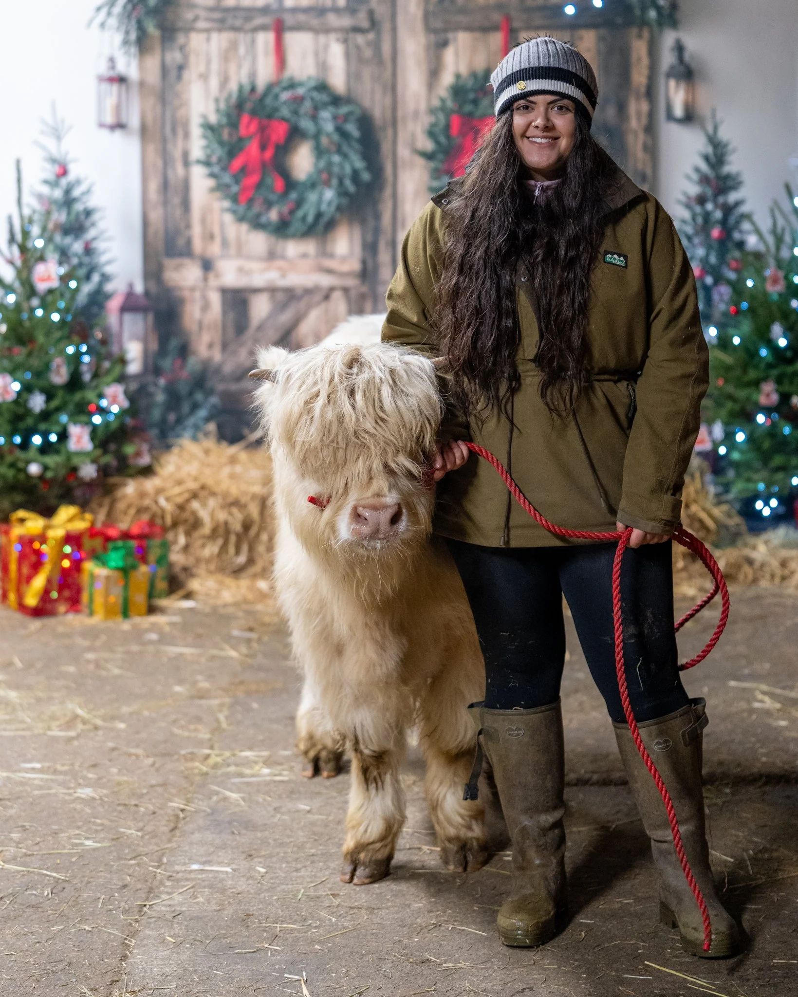 Woman with long dark hair, wearing a gray beanie, brown jacket, and rubber boots, holding a red leash attached to a fluffy light brown mini highland cow, standing inside festively decorated space with Christmas trees, presents, and wreaths.