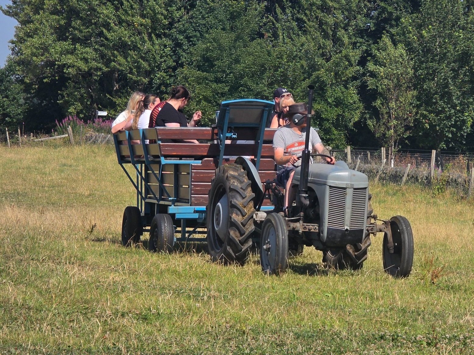 Summer Safari (Half-Term)