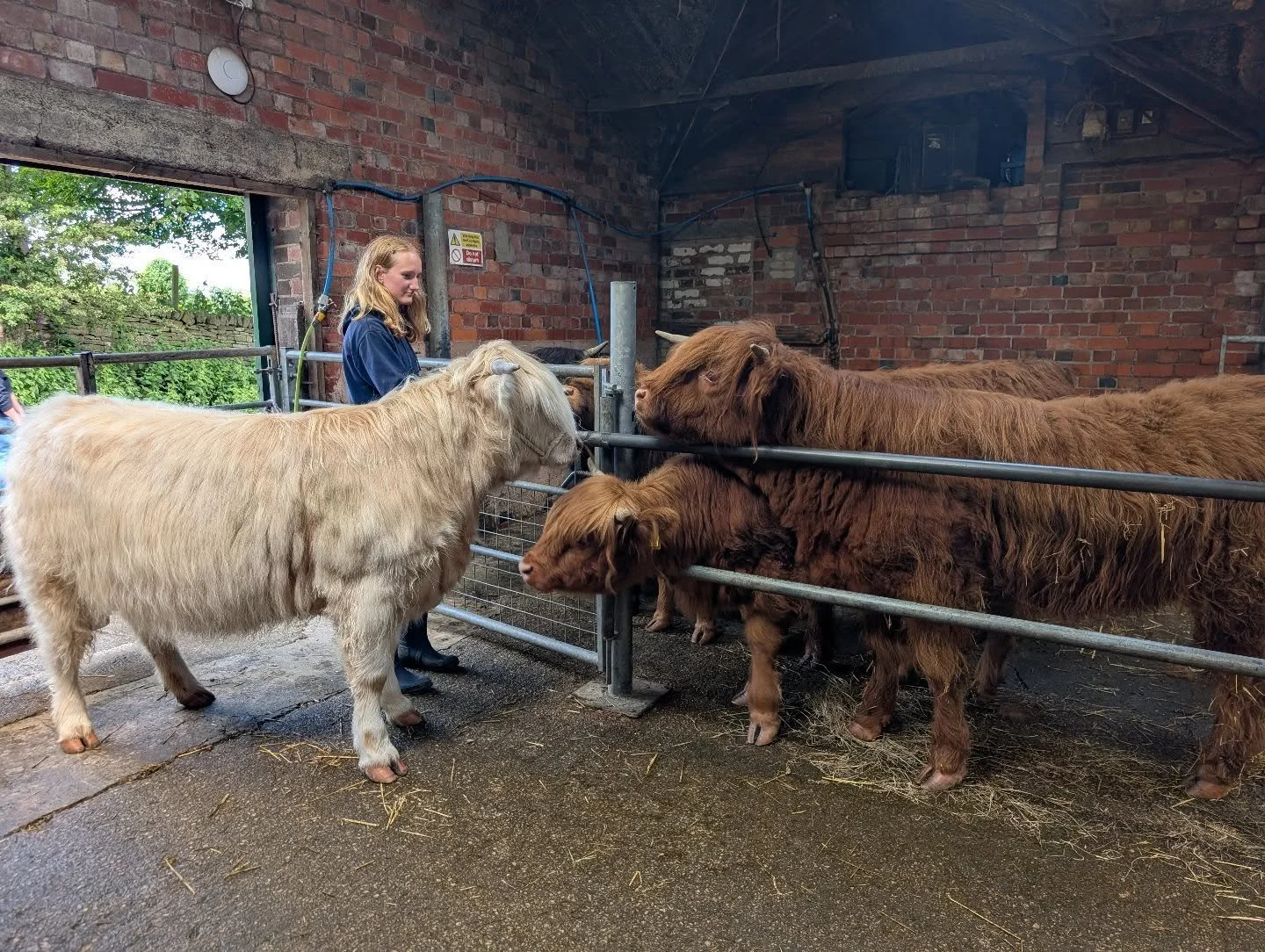 Isla, Kelly and Rose