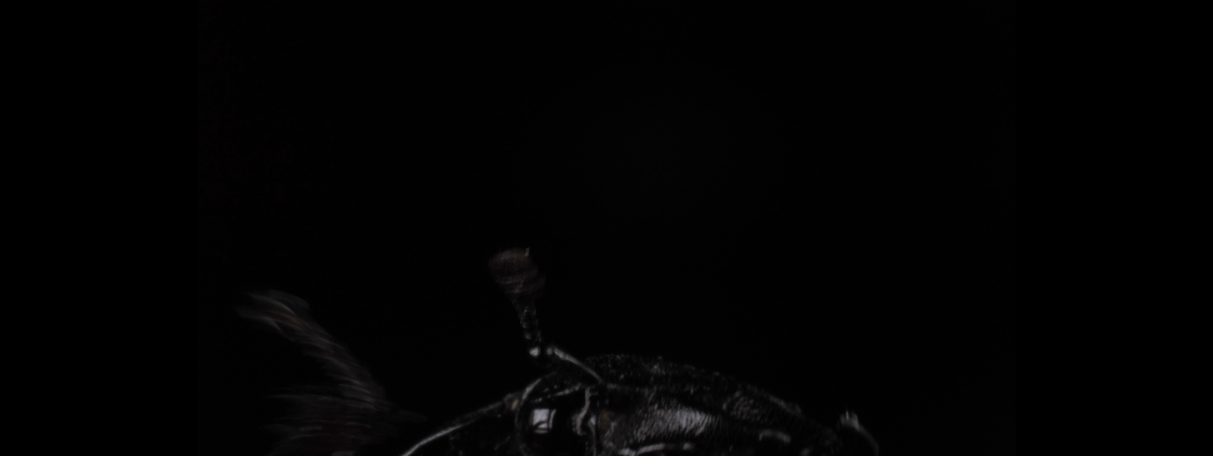 Screenshot 2024-10-27 121146.png