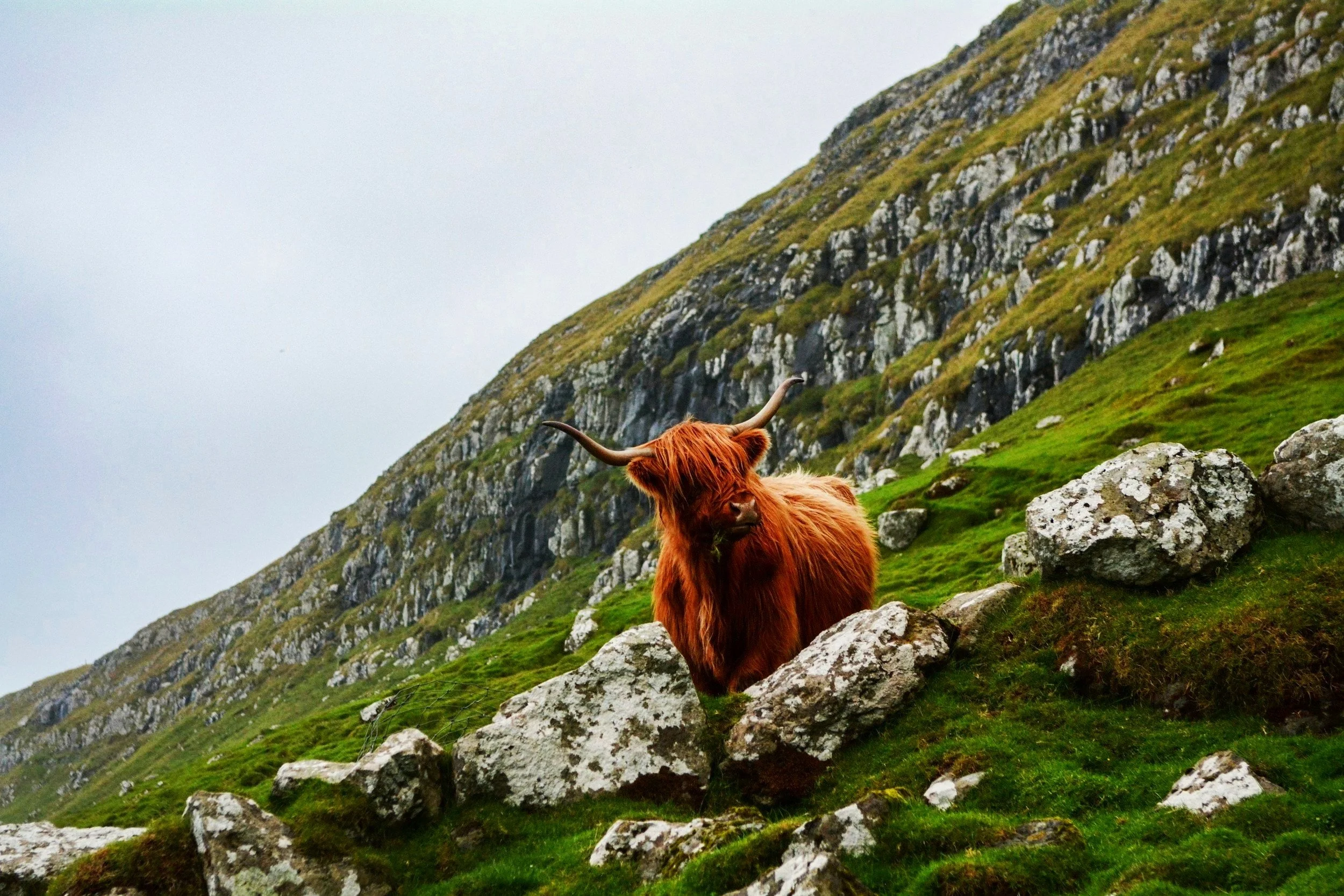 unsplash-image-XucH5JNRFig.jpg