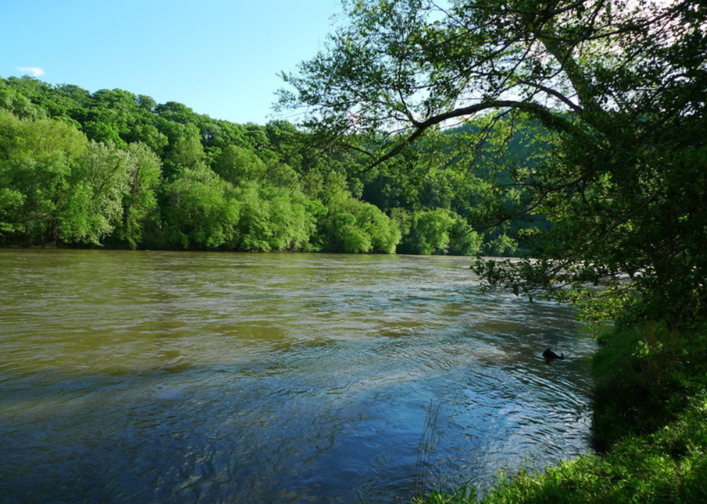 French Broad.png