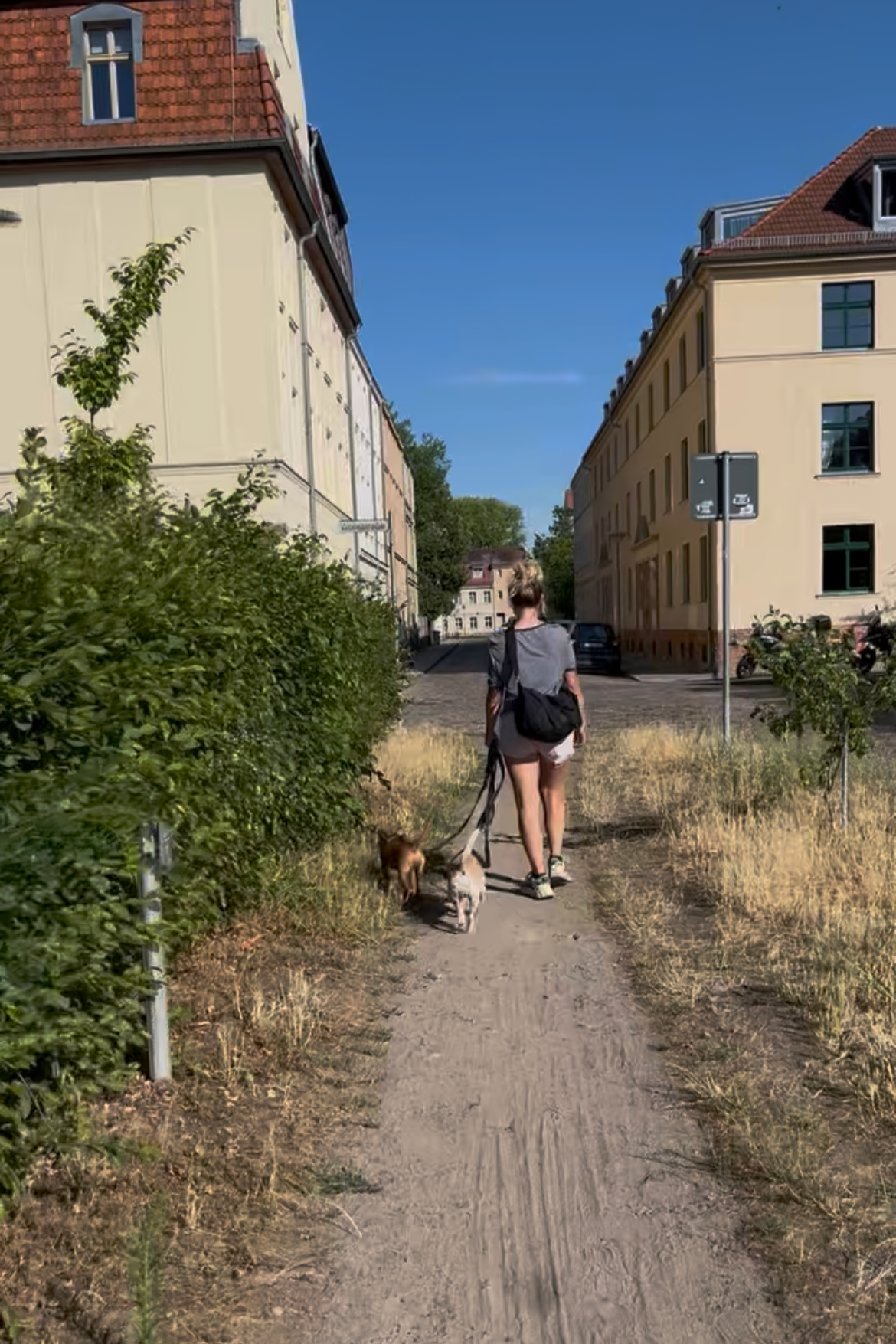 Eine junge Frau läuft mit zwei Hunden auf einem schmalen Weg zwischen Sträuchern und trockener Grasfläche in einer urbanen Gegend bei sonnigem Wetter.