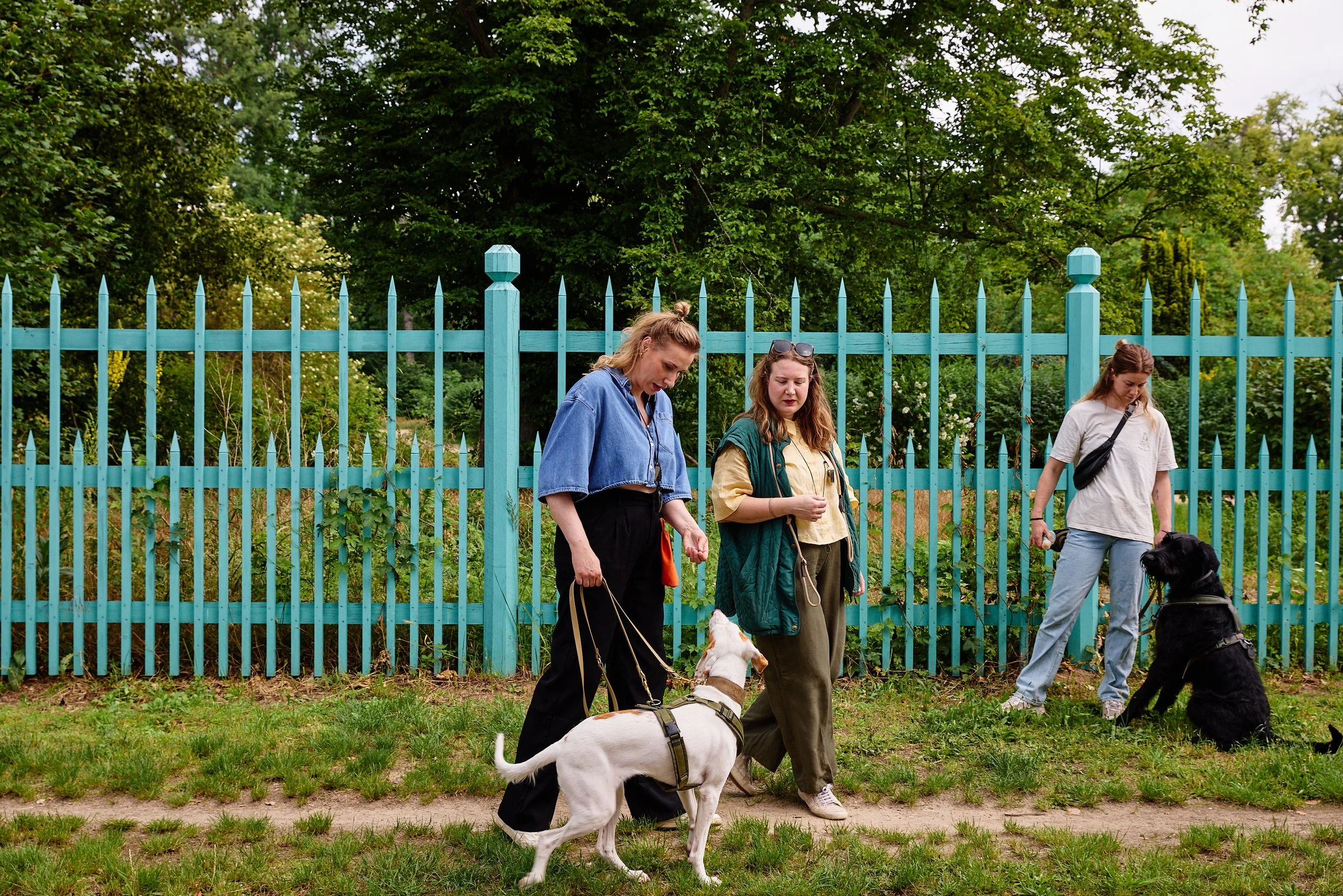 Hundetraining Hunde treffen.jpg