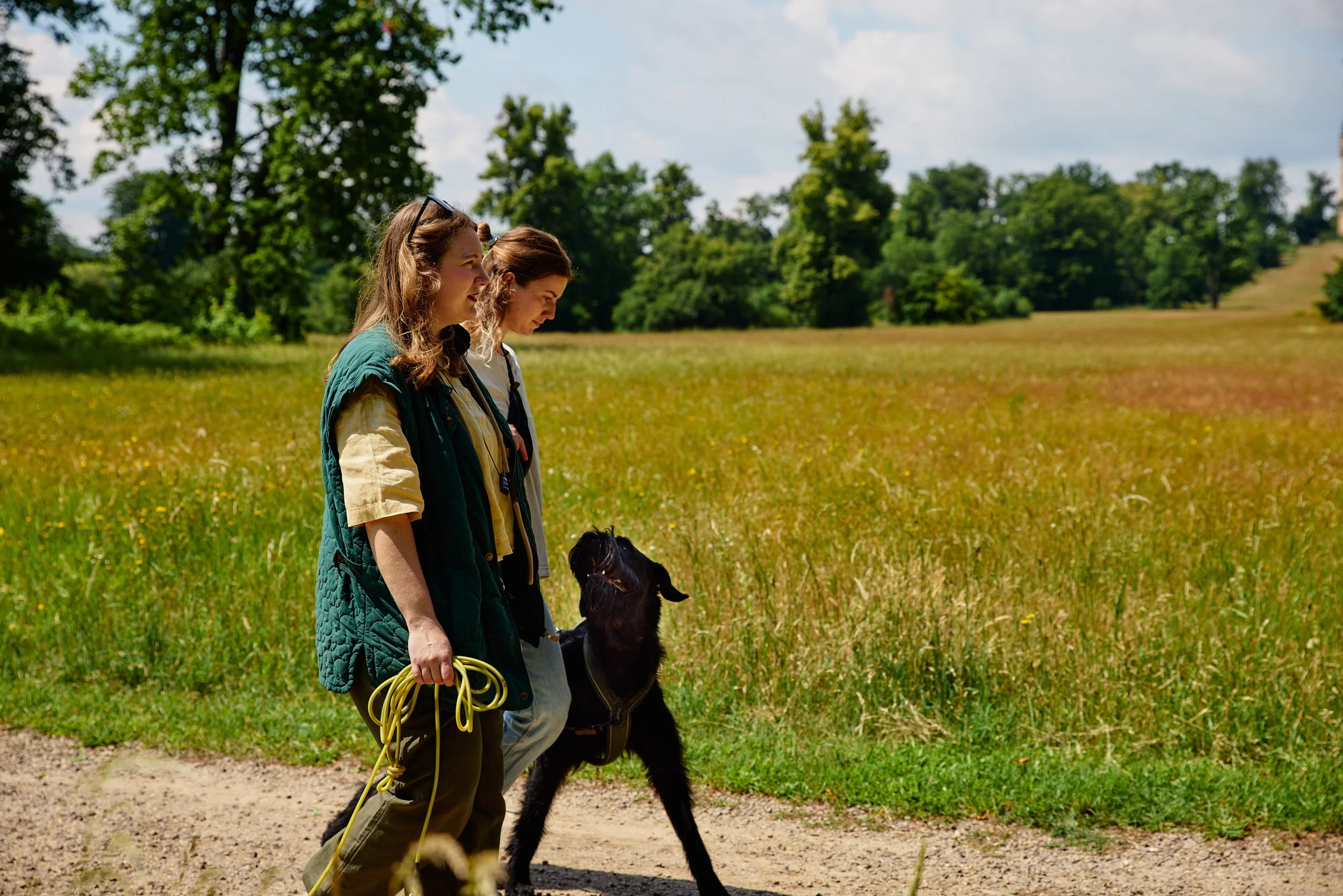 Hundetraining An der Leine gehen.jpg