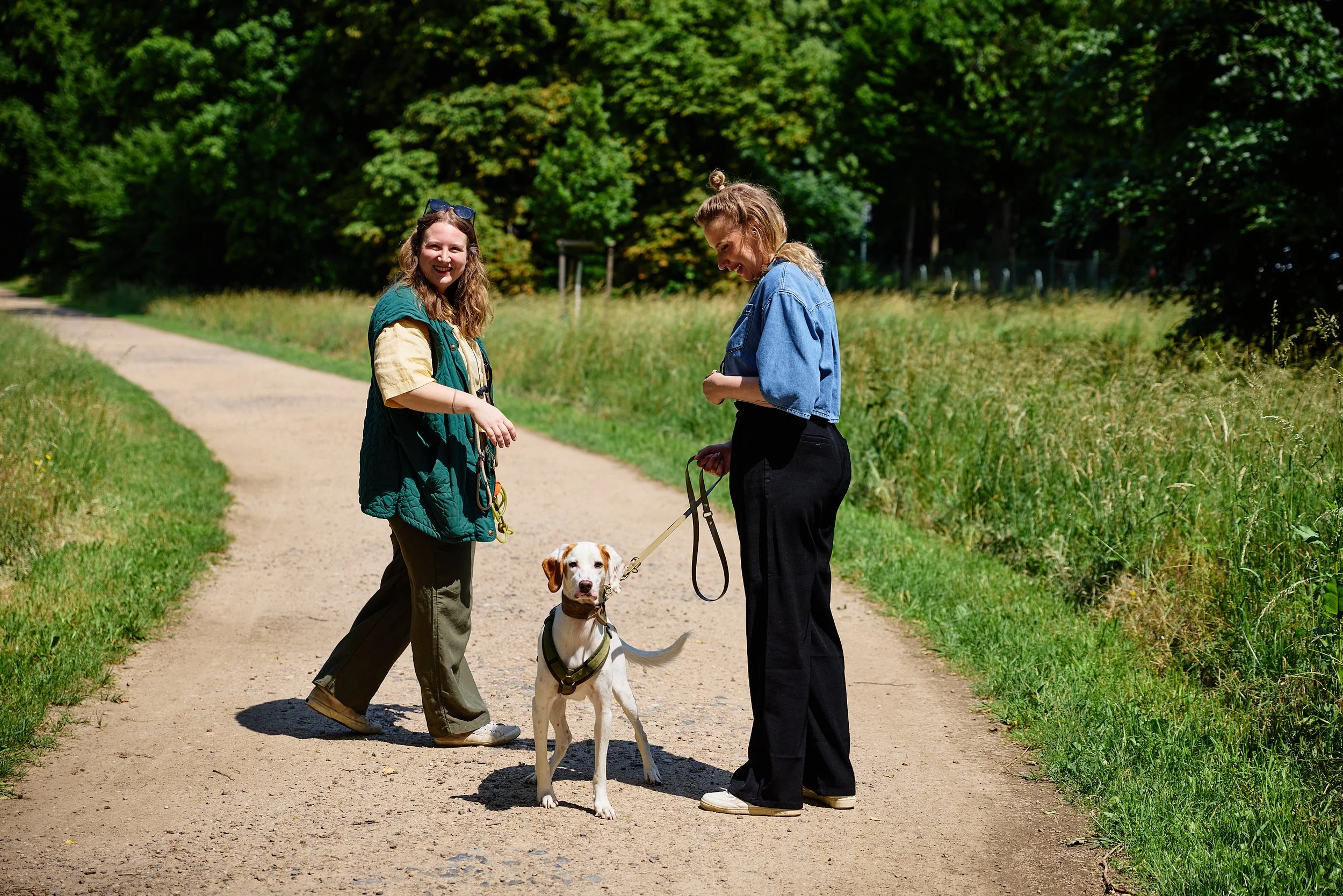 Hundetraining Hundebegenung.jpg