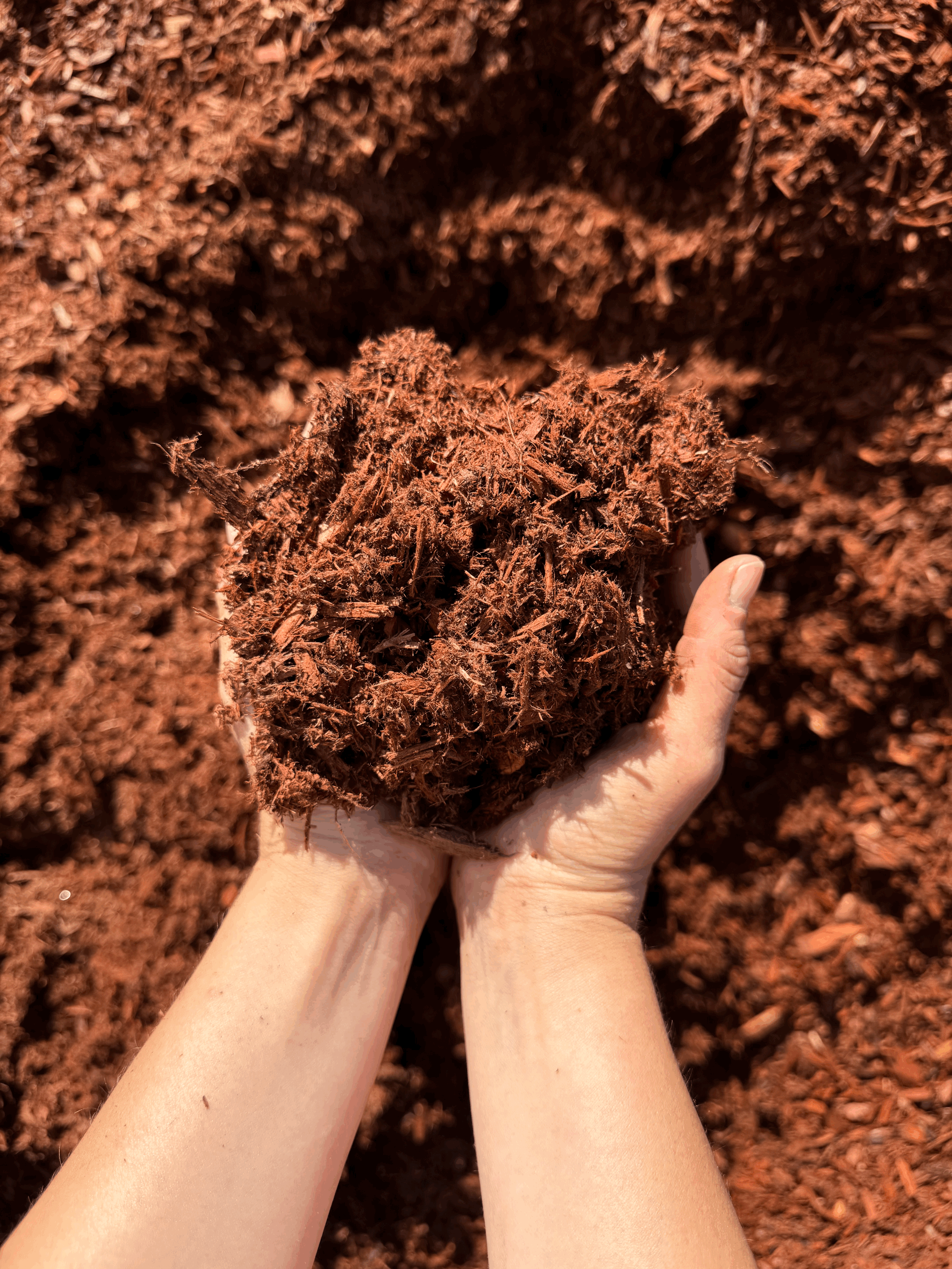 100% Red Cedar Mulch