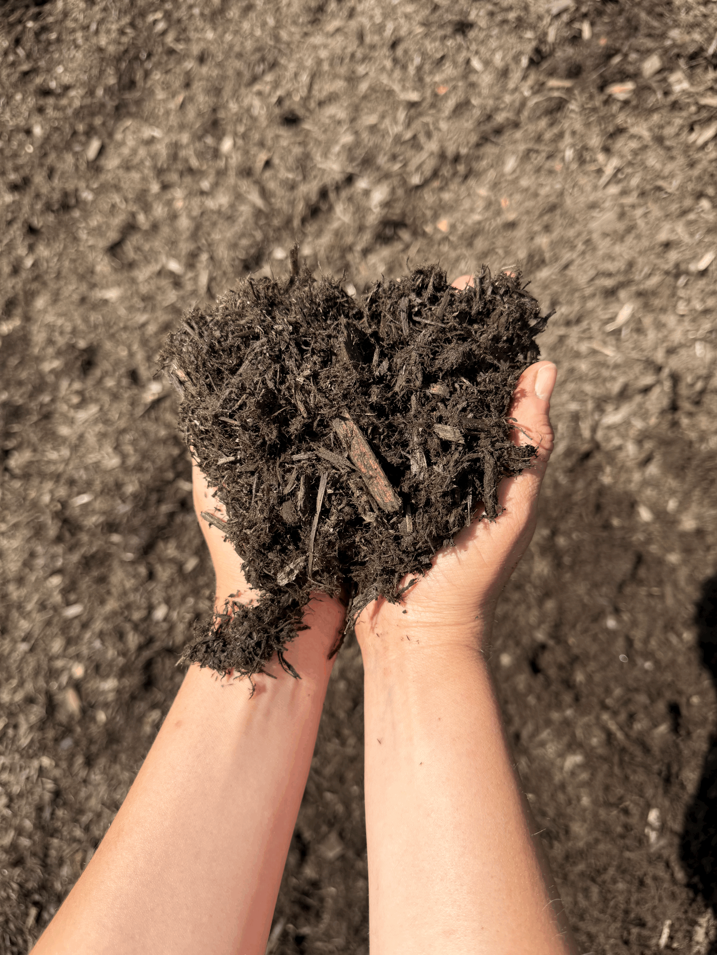 100% Brown Cedar Mulch
