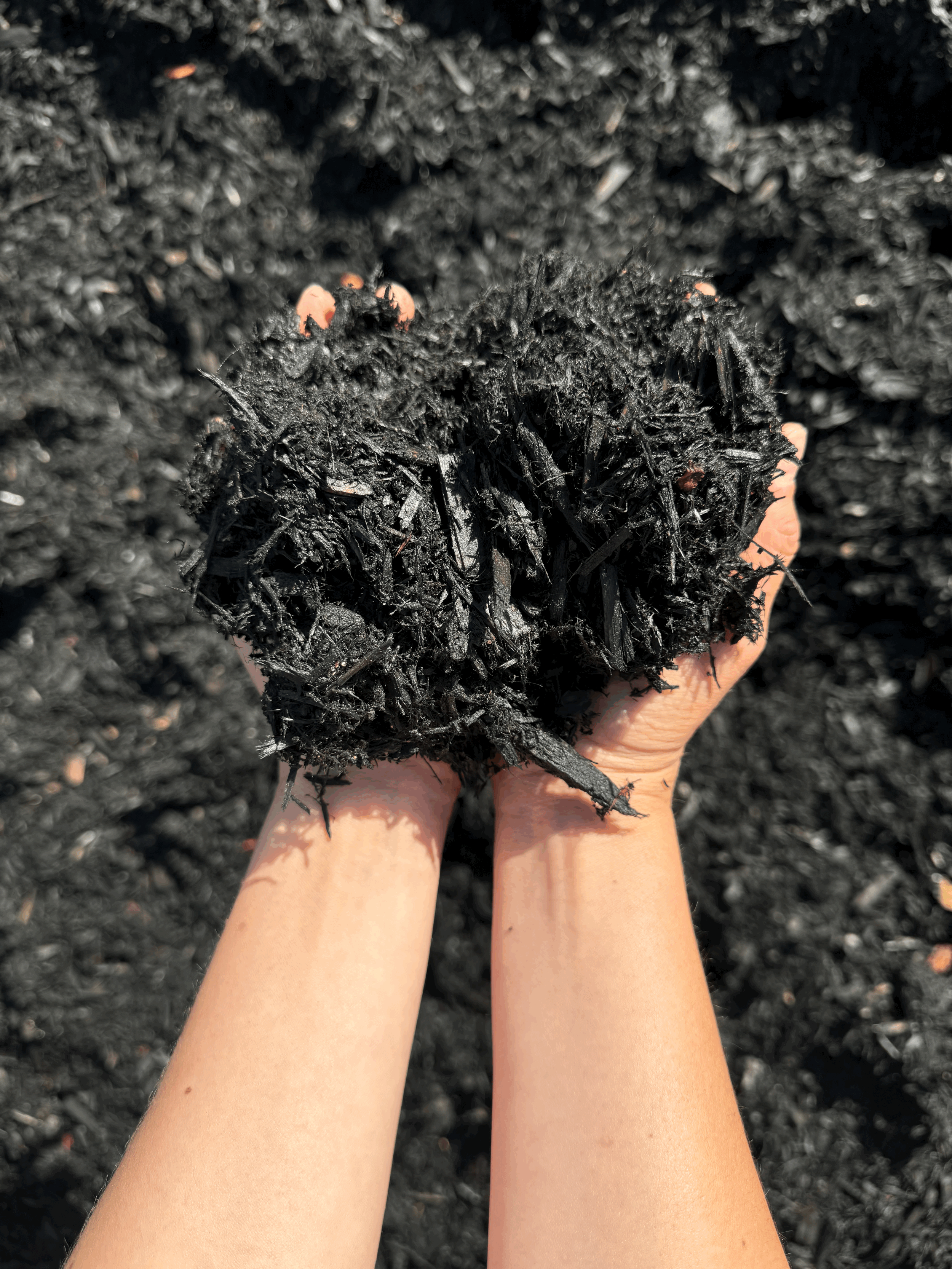 100% Black Cedar Mulch