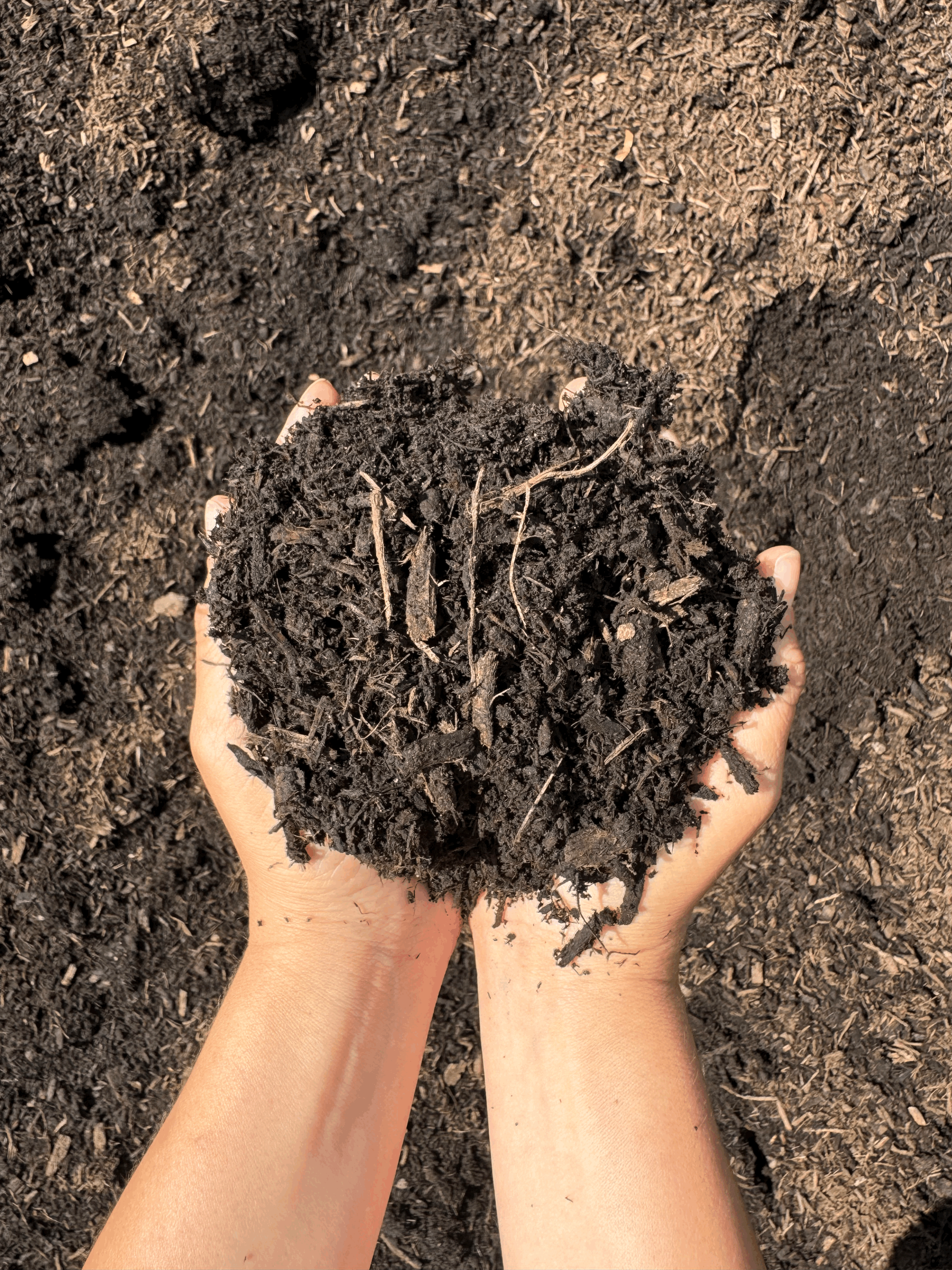 Forest Blend Aged Mulch