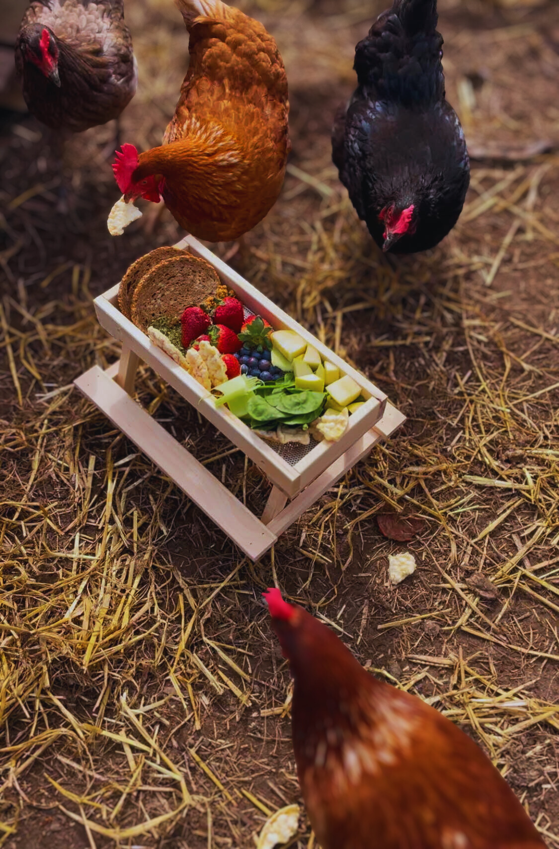 Chickens gathered around a small wooden feeding tray filled with multigrain bread, vegetables, and berries outdoors on straw-covered ground.