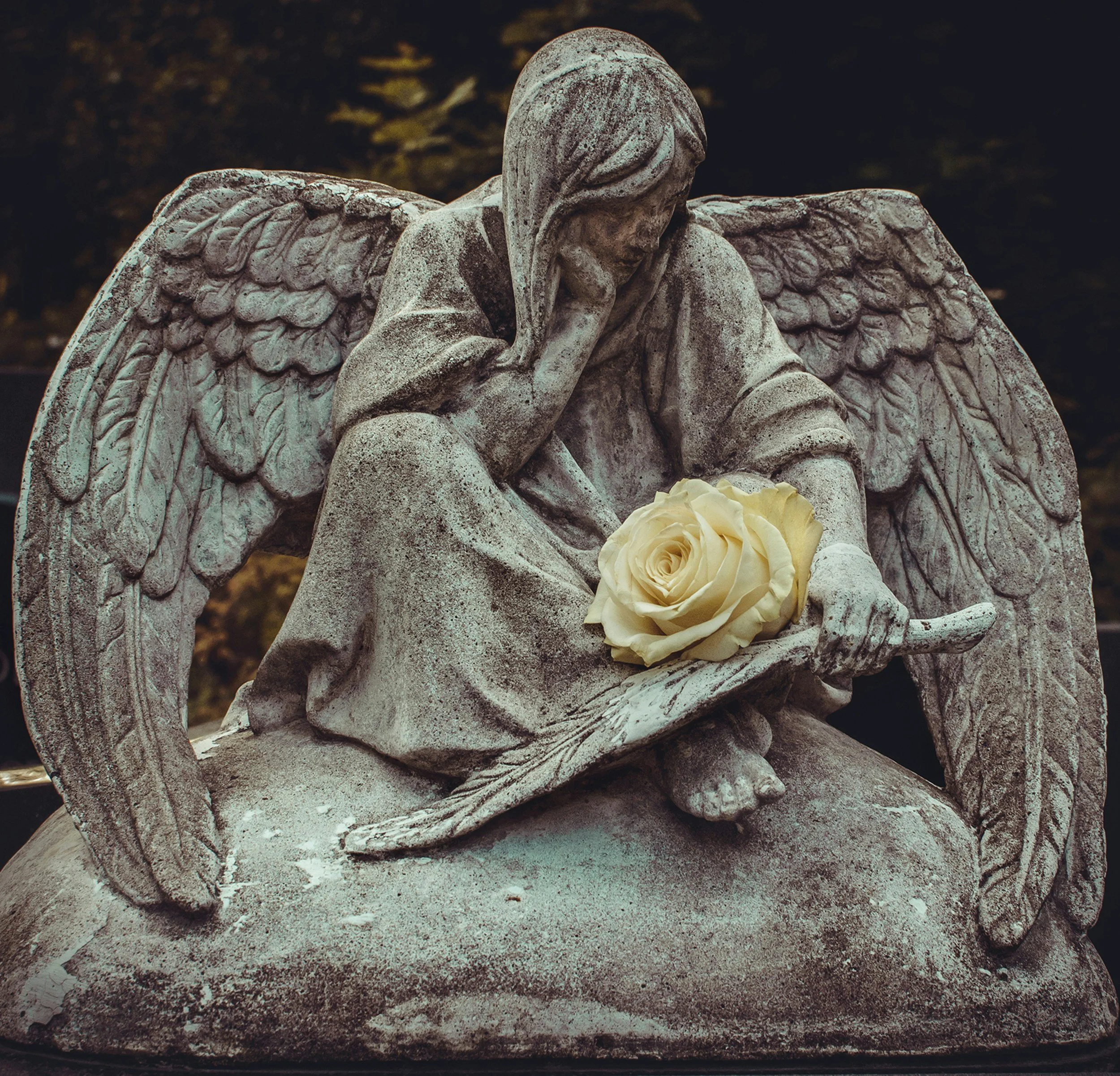 Surviving Loss by Homicide During the Holidays: A Book for Survivors
