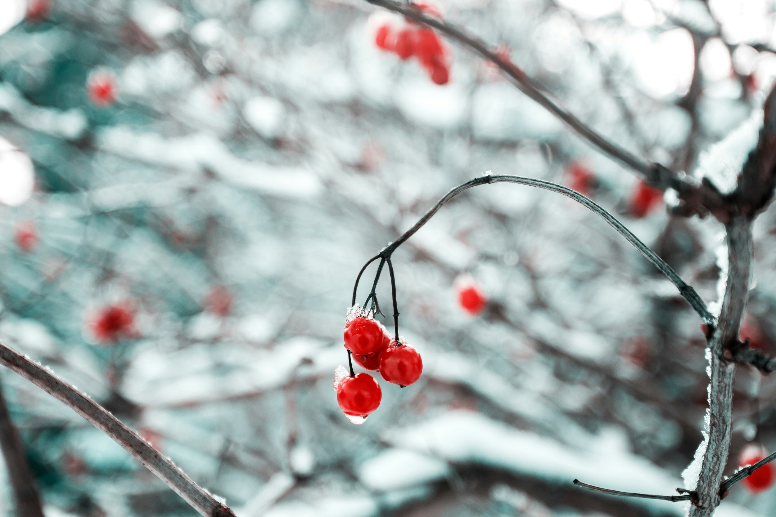 Somatic Practice For Anyone Who Feels Worn Out Before the Holidays Even Start
