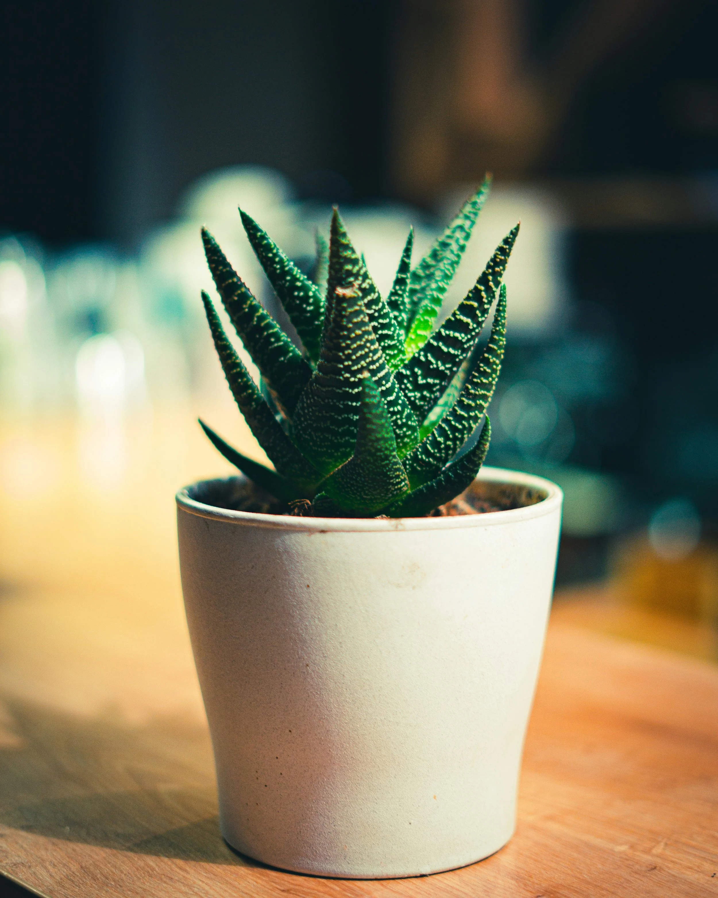 Burdenism and the Difficulty of Asking for Help
