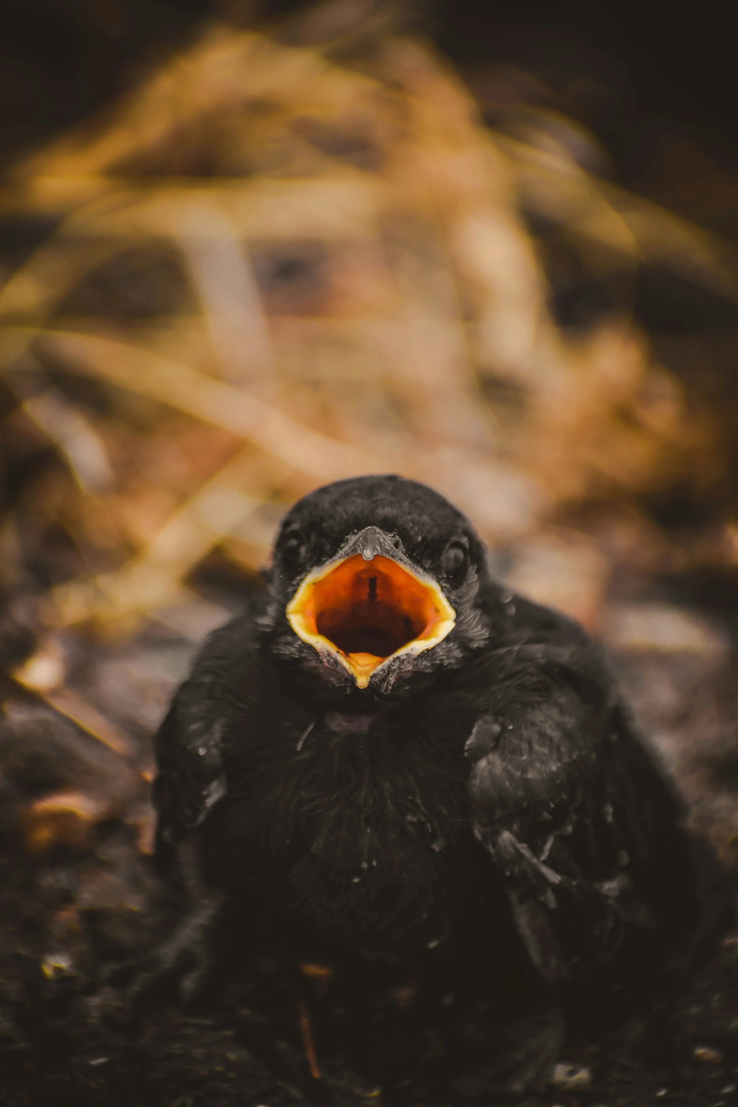 Anger Does Not Go Away When You Ignore It