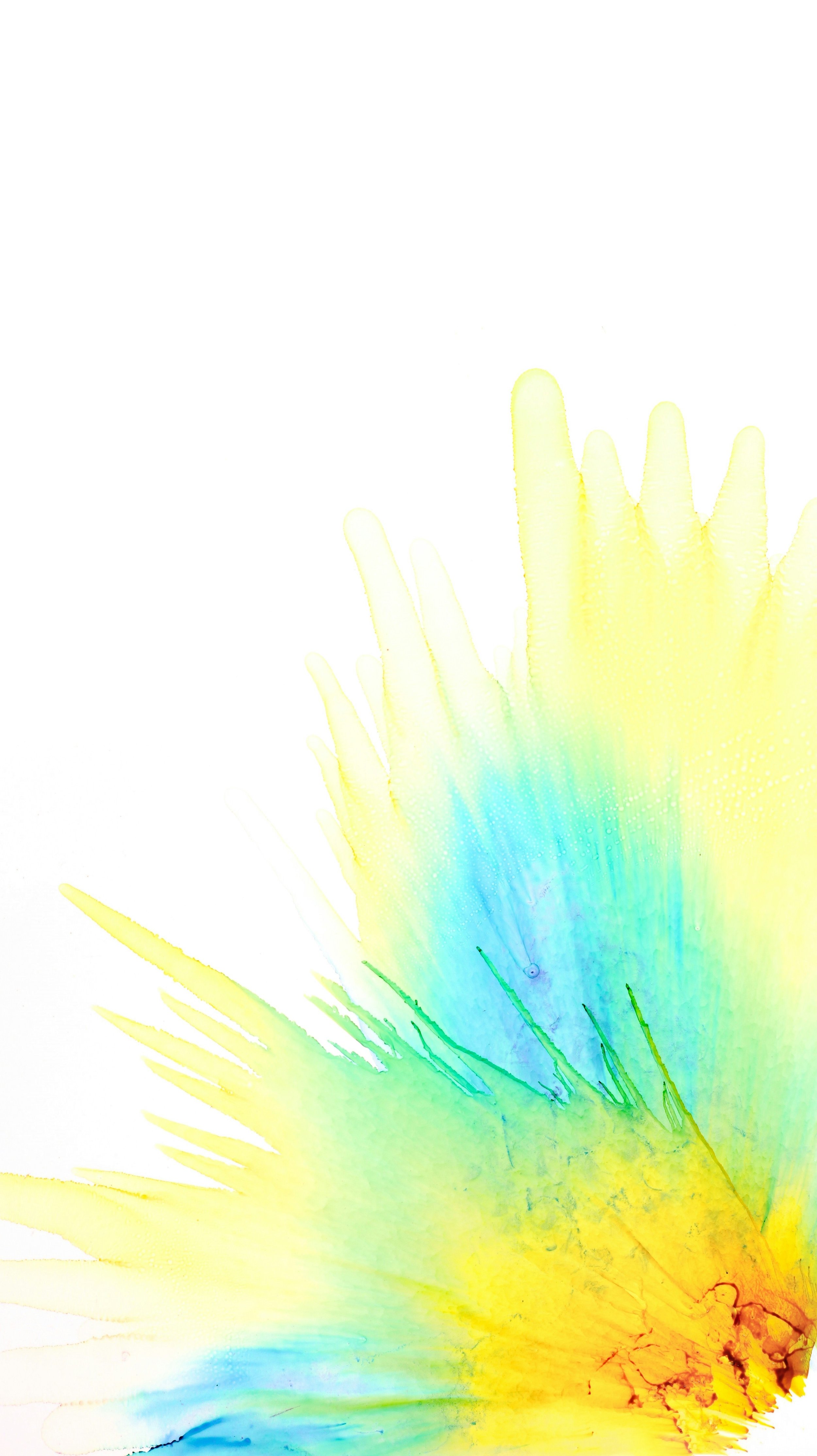 Founded on Purpose, Rooted in Community