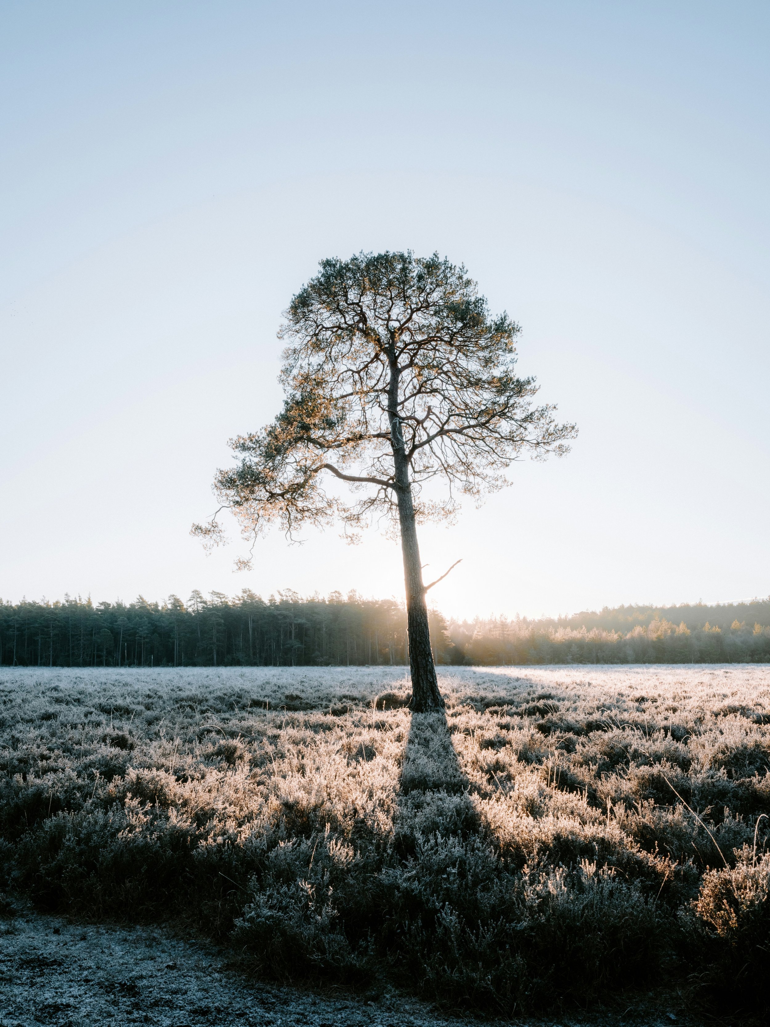 A Note About Tipping at Healing Arts Center