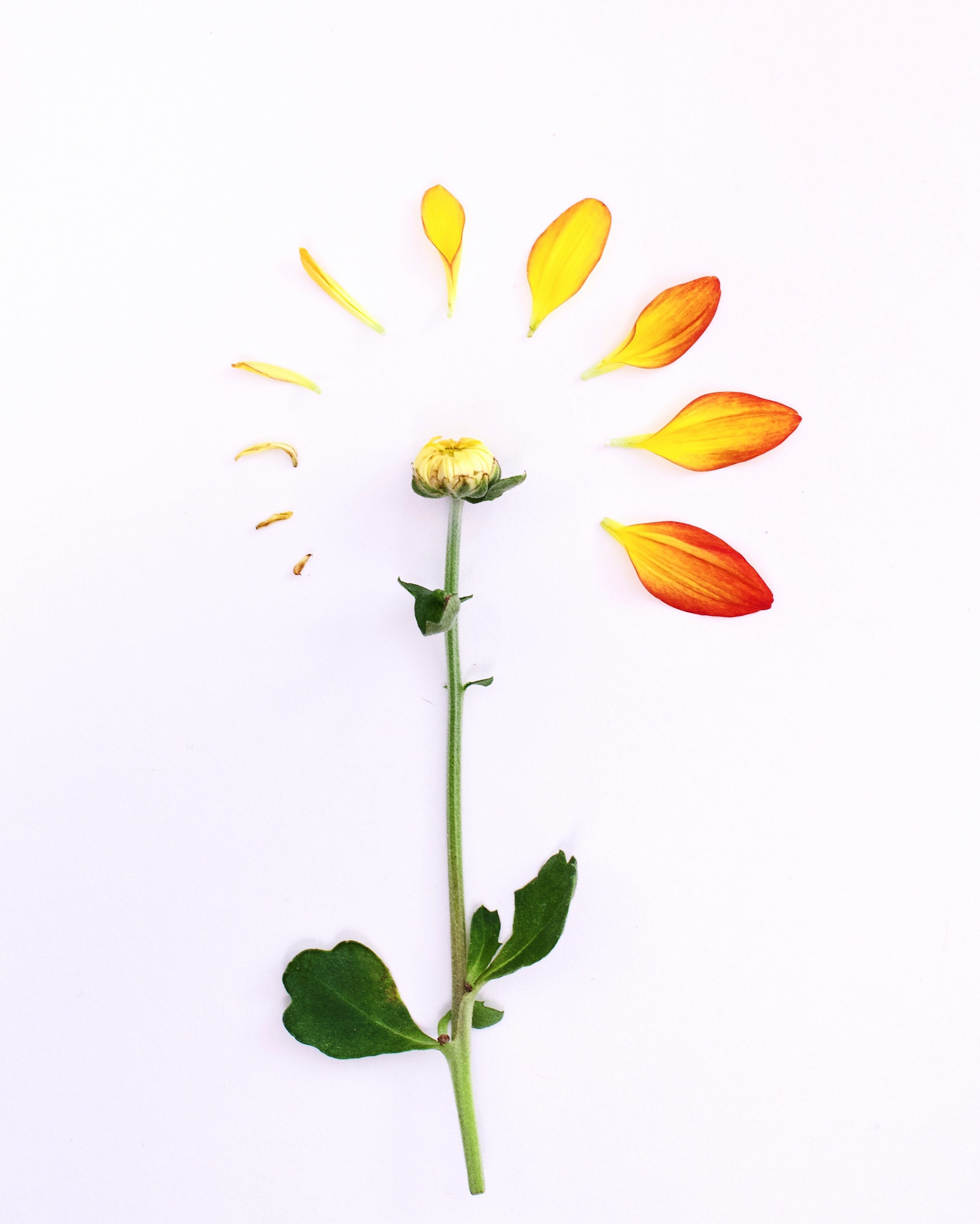 Why Self-Care Needs to Include How You Talk to Yourself