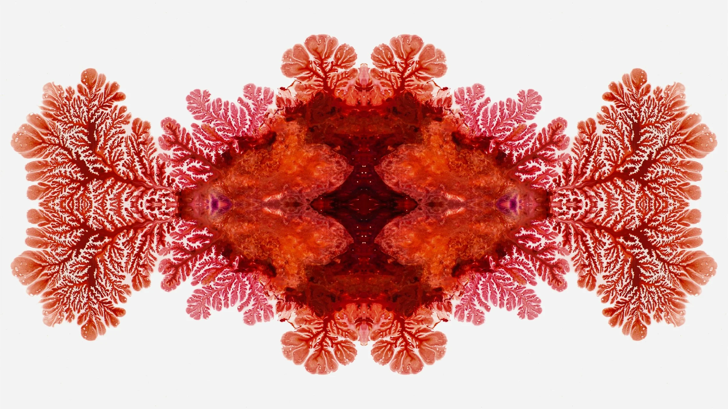 Let it Go! Release, Reset &amp; Regulate