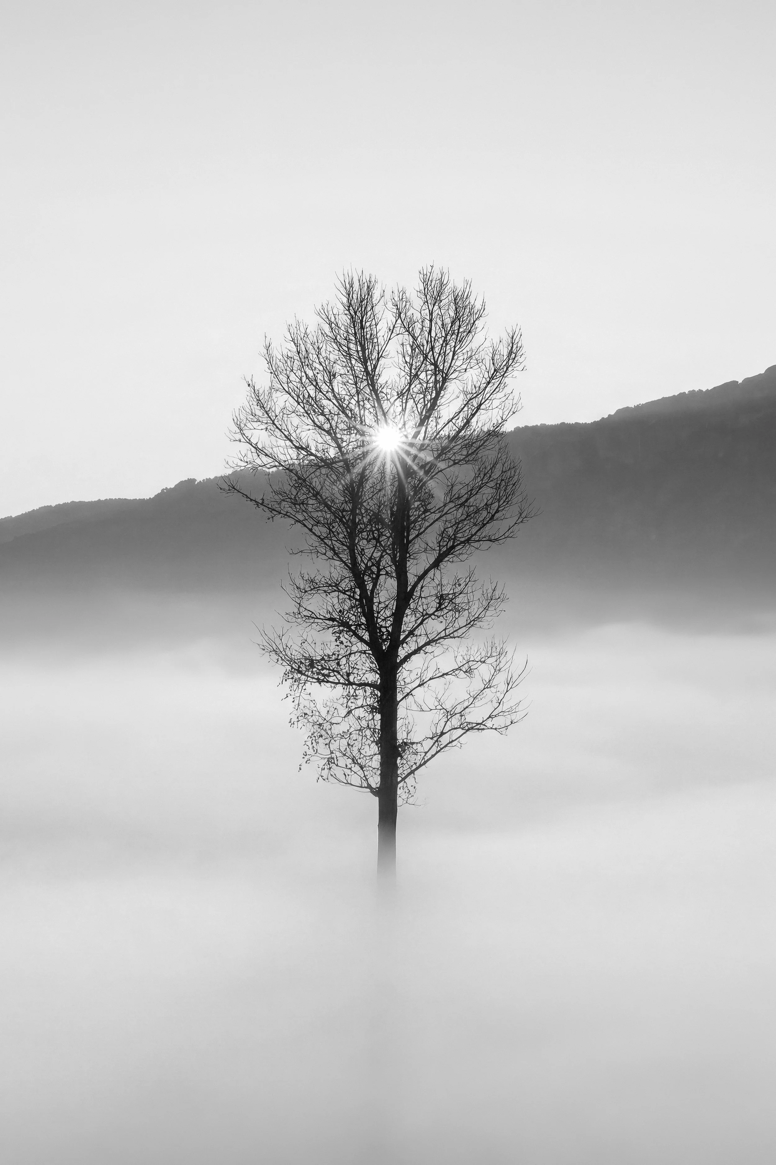 Supporting Your Well-being: Managing Anxiety as a Military Spouse