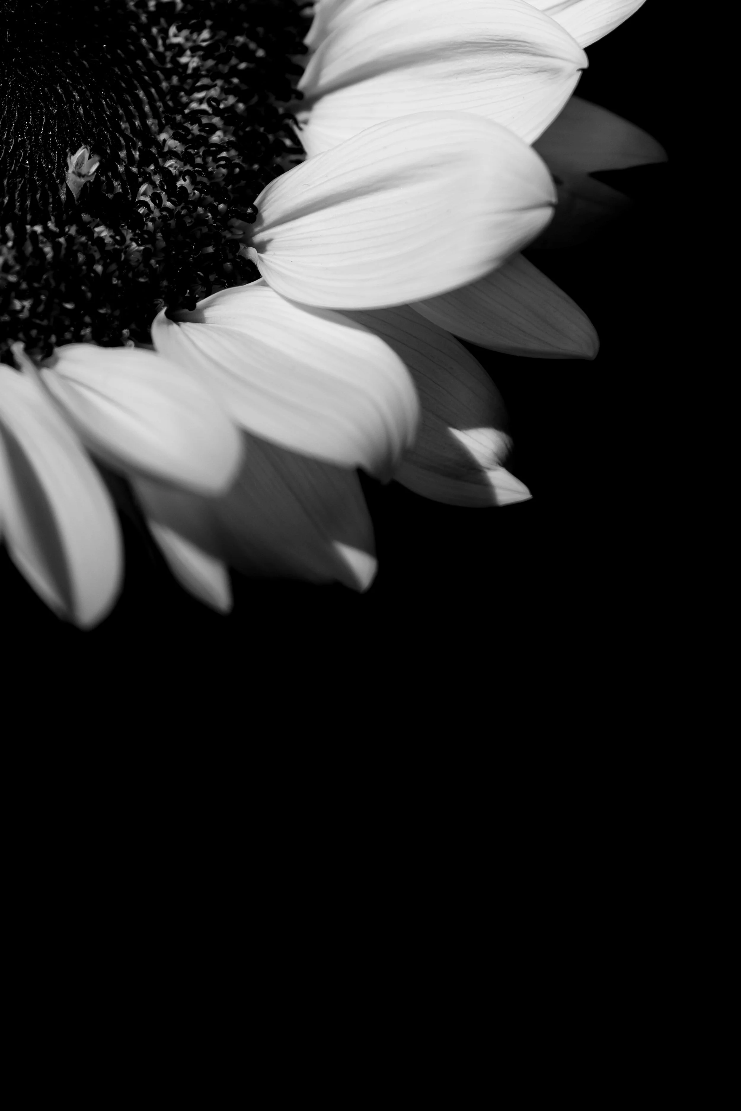 When Life Shifts: Practical Ways to Support Your Body and Mind
