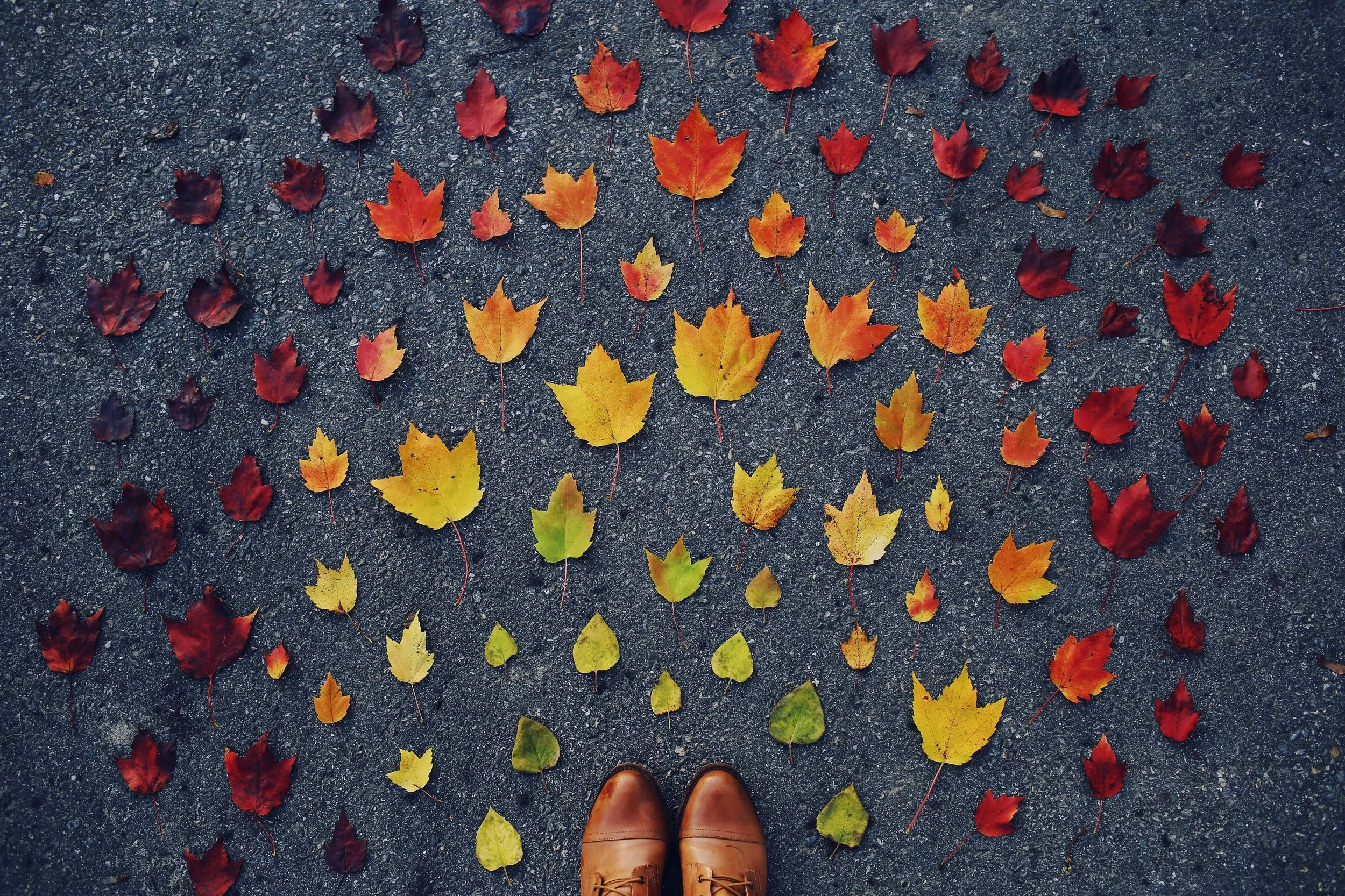 New Beginnings Aren't Always Exciting