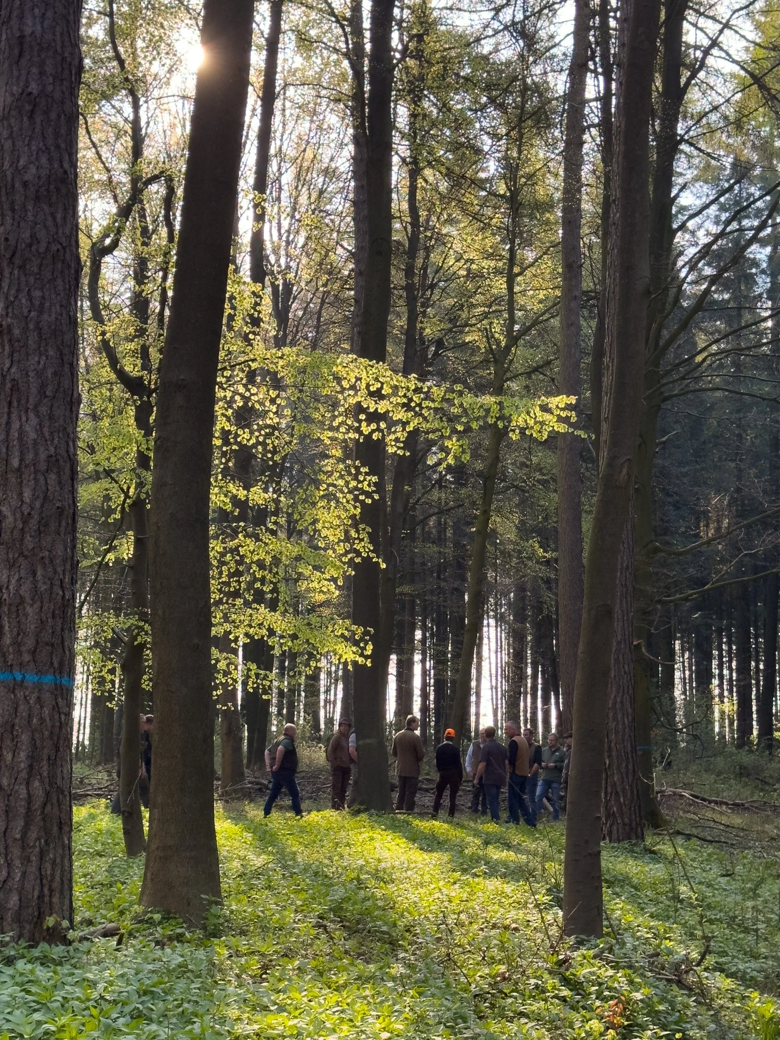 Jährlicher Waldbegang mit den Förstern