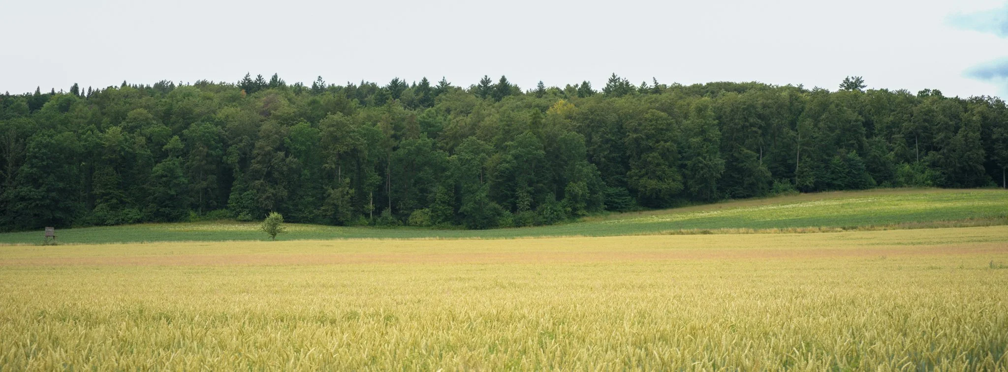 B0000819.JPG