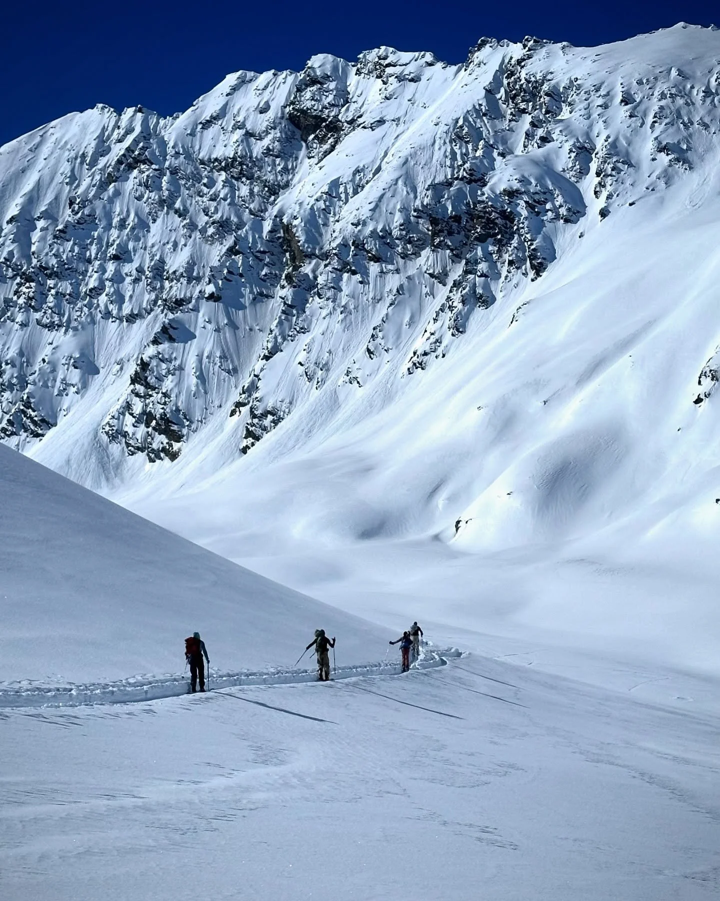 **🏔️ Ski Touring: Unlock the Backcountry! 🎿❄️**  
 
Ever dreamed of gliding through untouched powder, far from the crowds, surrounded by breathtaking mountain views? 🌄 Ski touring is your ticket to ultimate freedom on the snow! &thin