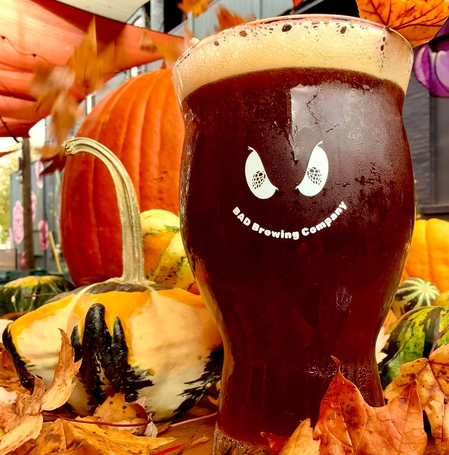 Happy fall, BADdies! We&rsquo;re stoked to announce 𝗟𝘂𝗰𝘆&rsquo;𝘀 𝗣𝘂𝗺𝗽𝗸𝗶𝗻 𝗦𝗽𝗶𝗰𝗲 𝗔𝗹𝗲 🎃 is back on tap and available to-go in cans or growlers. Stop in tonight for 𝗗𝗝 𝗧𝗿𝗶𝘃𝗶𝗮 𝗳𝗿𝗼𝗺 𝟳-𝟴:𝟯𝟬𝗽𝗺 to get your first sip of t