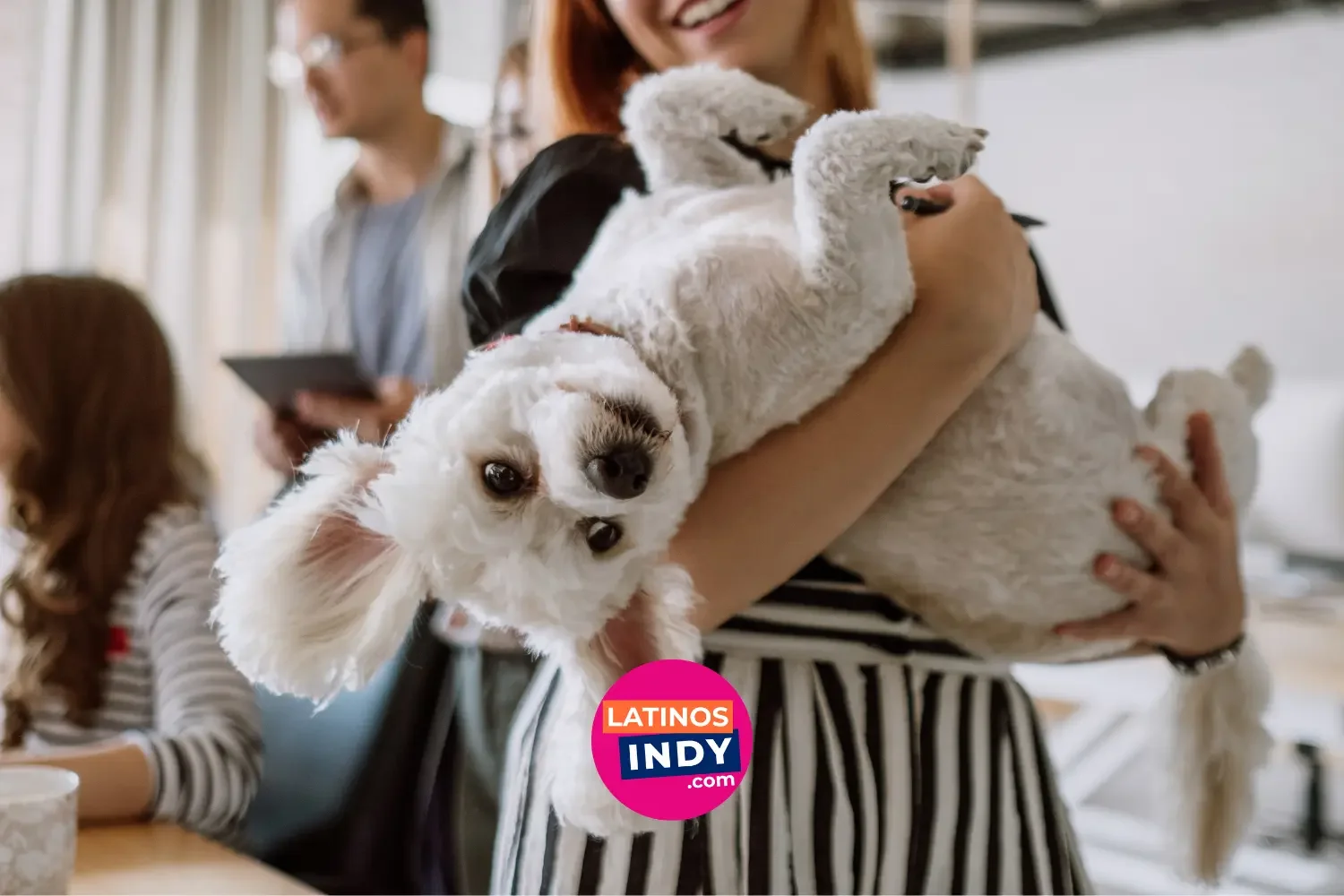 ¡Tus mascotas también merecen bienestar! Recursos a bajo costo en Indianápolis