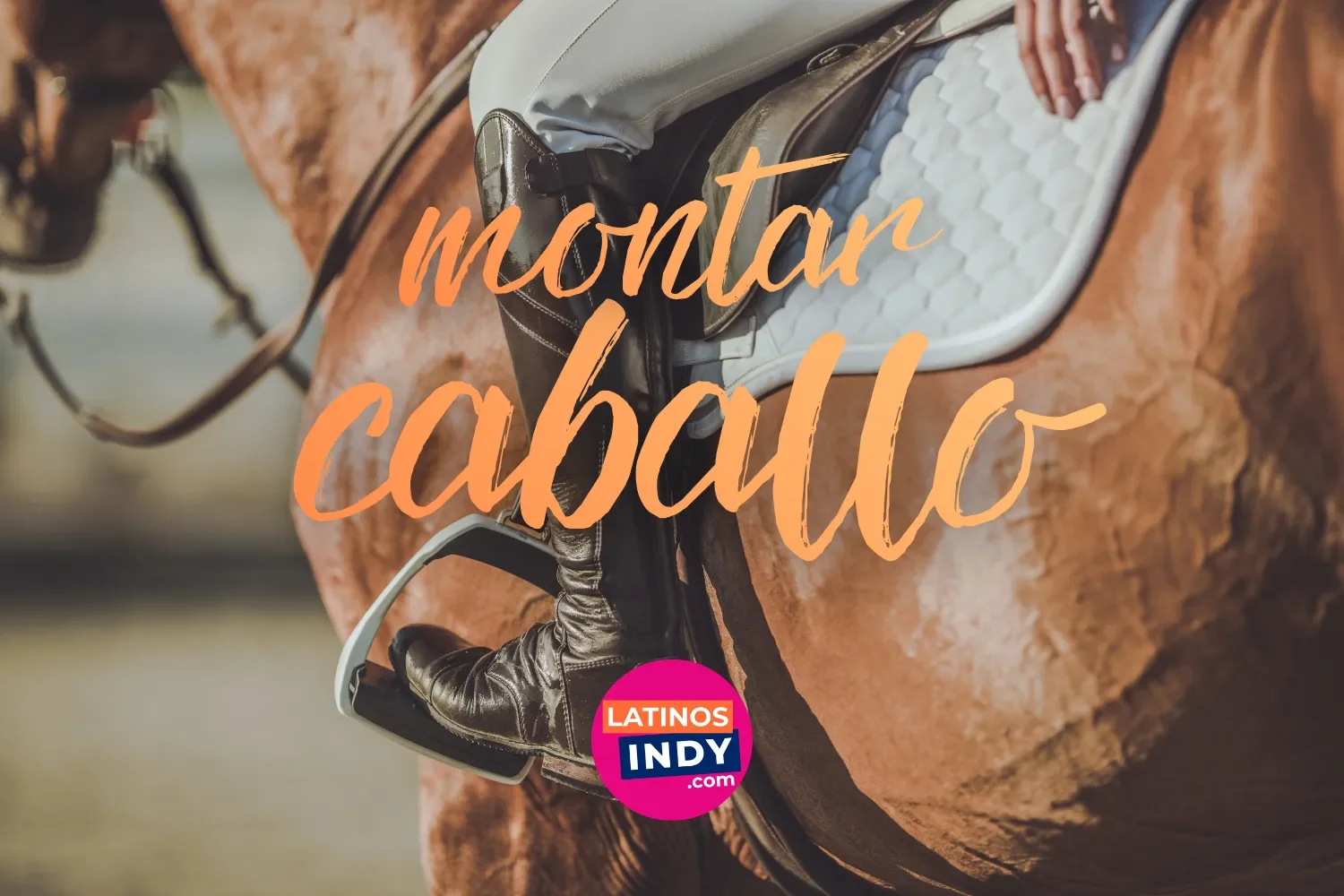Caballos y Equitación Cerca de Indianápolis -- Donde Montar, Aprender y Conectar