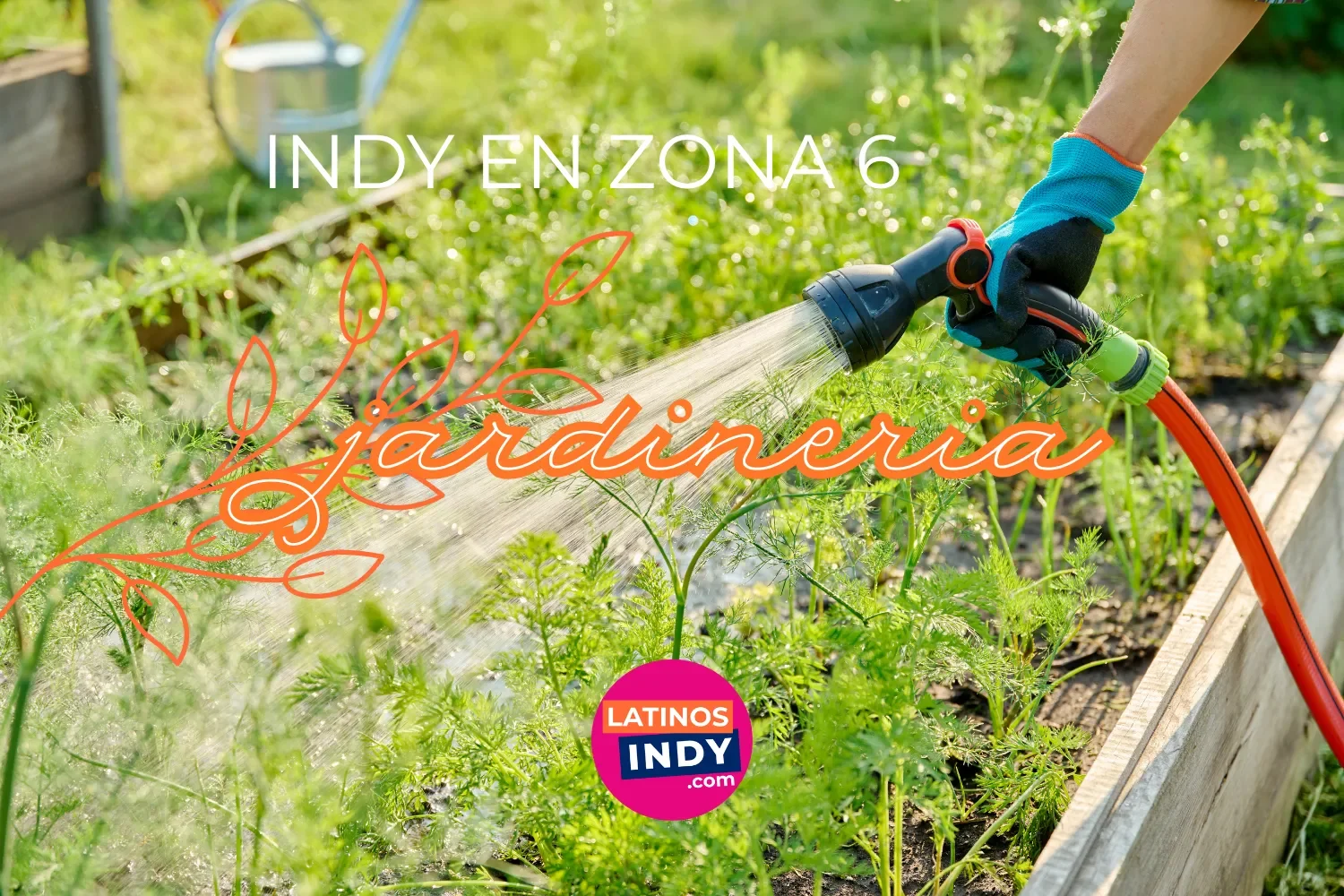 Jardinar en Indianápolis — Cuándo plantar chiles, cilantro y más (Zona 6)
