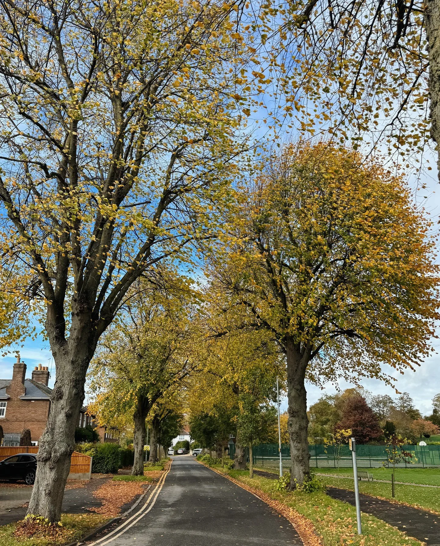 Gorgeous autumnal colours around the Rec at this time of year 🍂✨🍁🌞